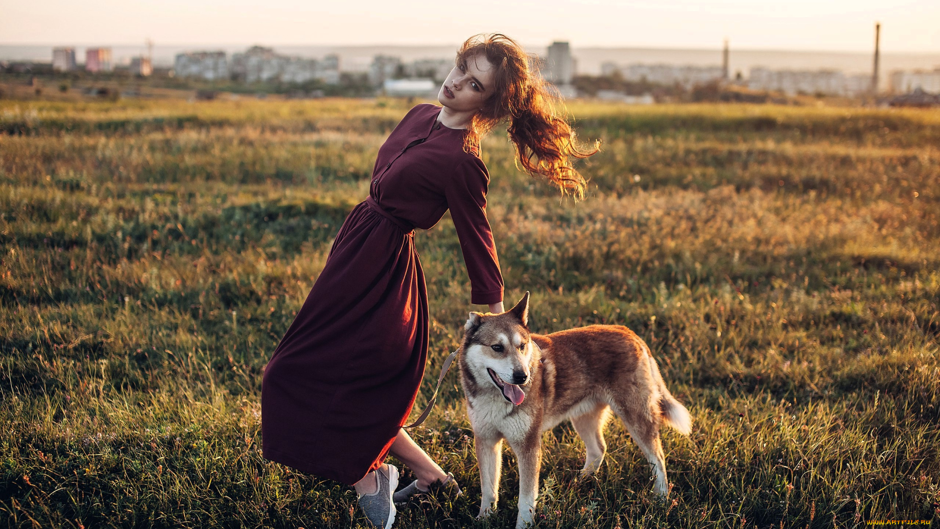 девушки, -, брюнетки, , шатенки, шатенка, платье, собака, луг, город