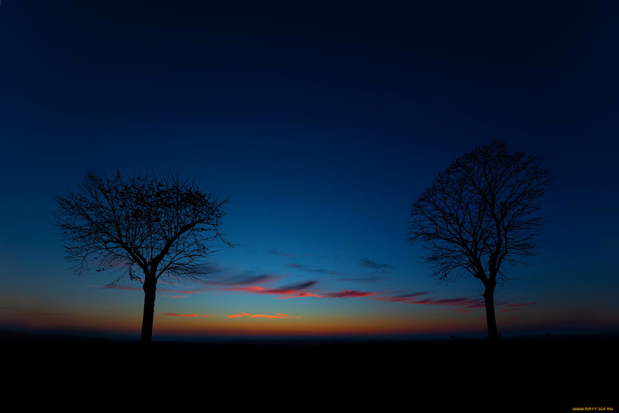 природа, деревья, пейзаж