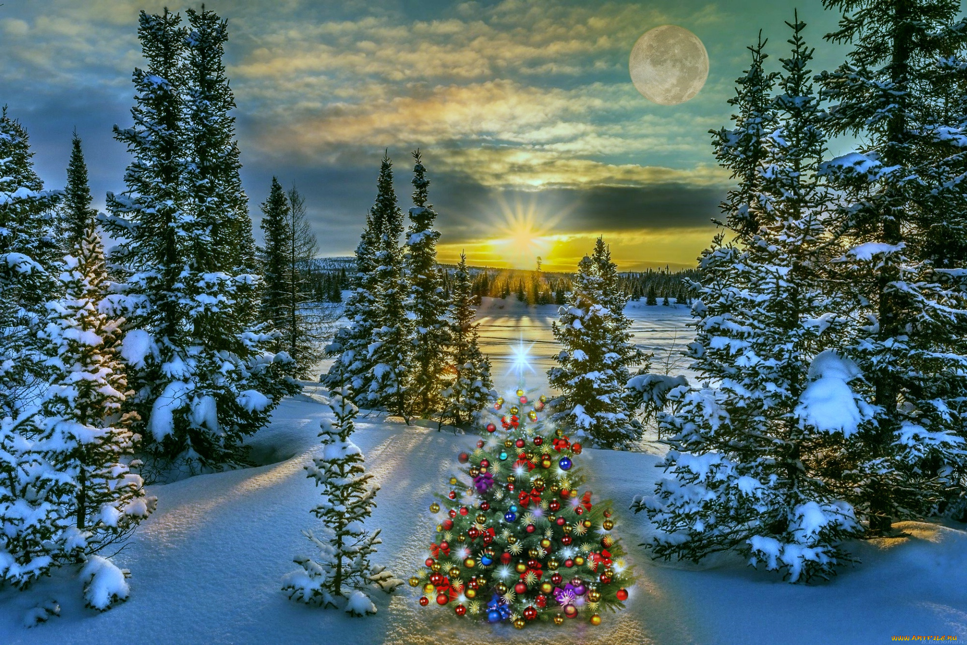 праздничные, ёлки, новогодняя