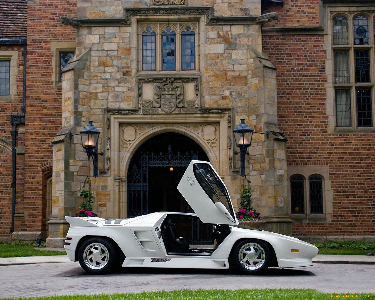 автомобили, vector