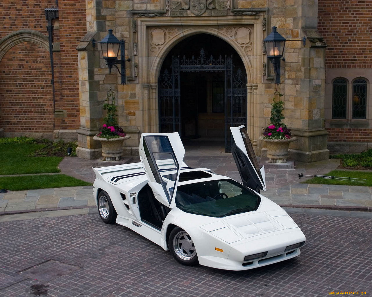 автомобили, vector