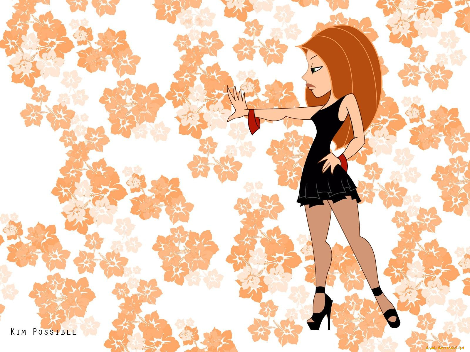 kim, possible, мультфильмы