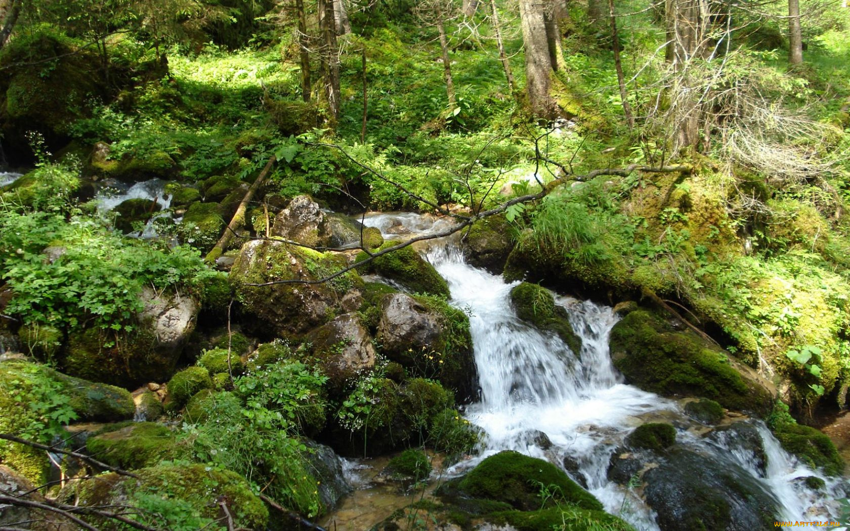 природа, реки, озера