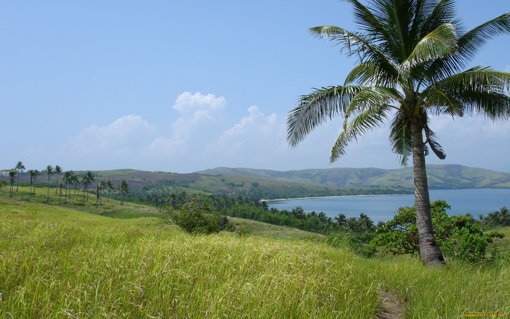 природа, тропики