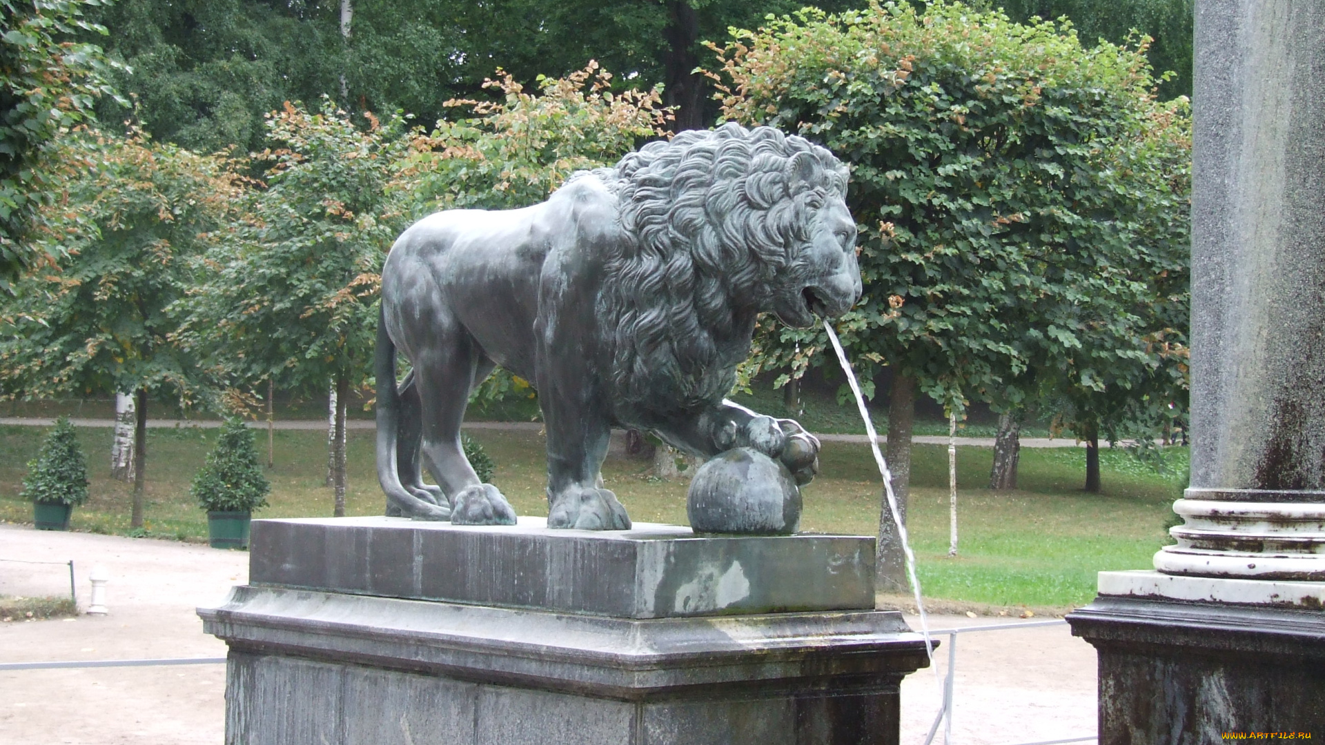 питер, города, санкт, петербург, петергоф, россия