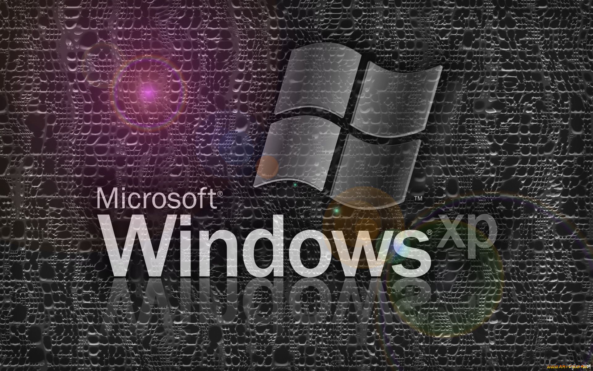 компьютеры, windows, xp