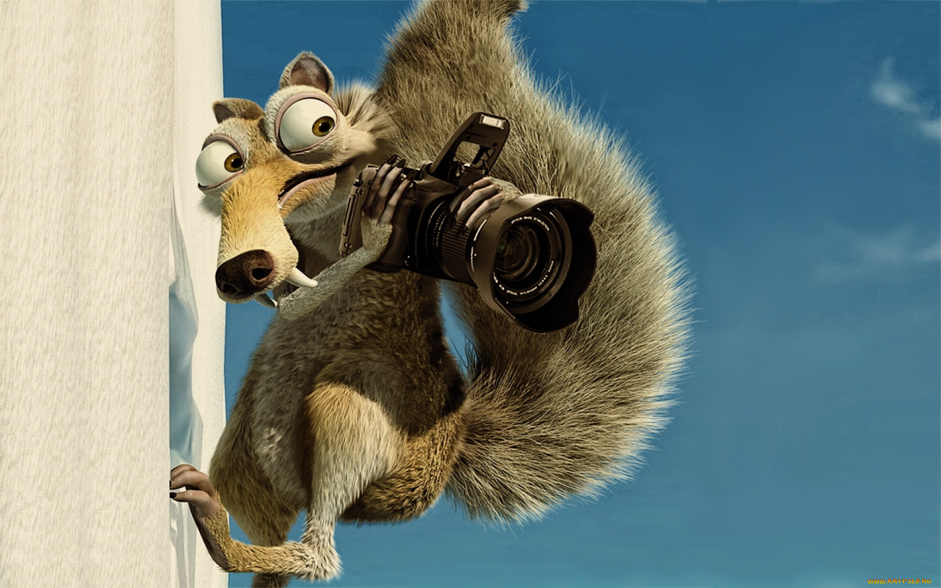 юмор, приколы