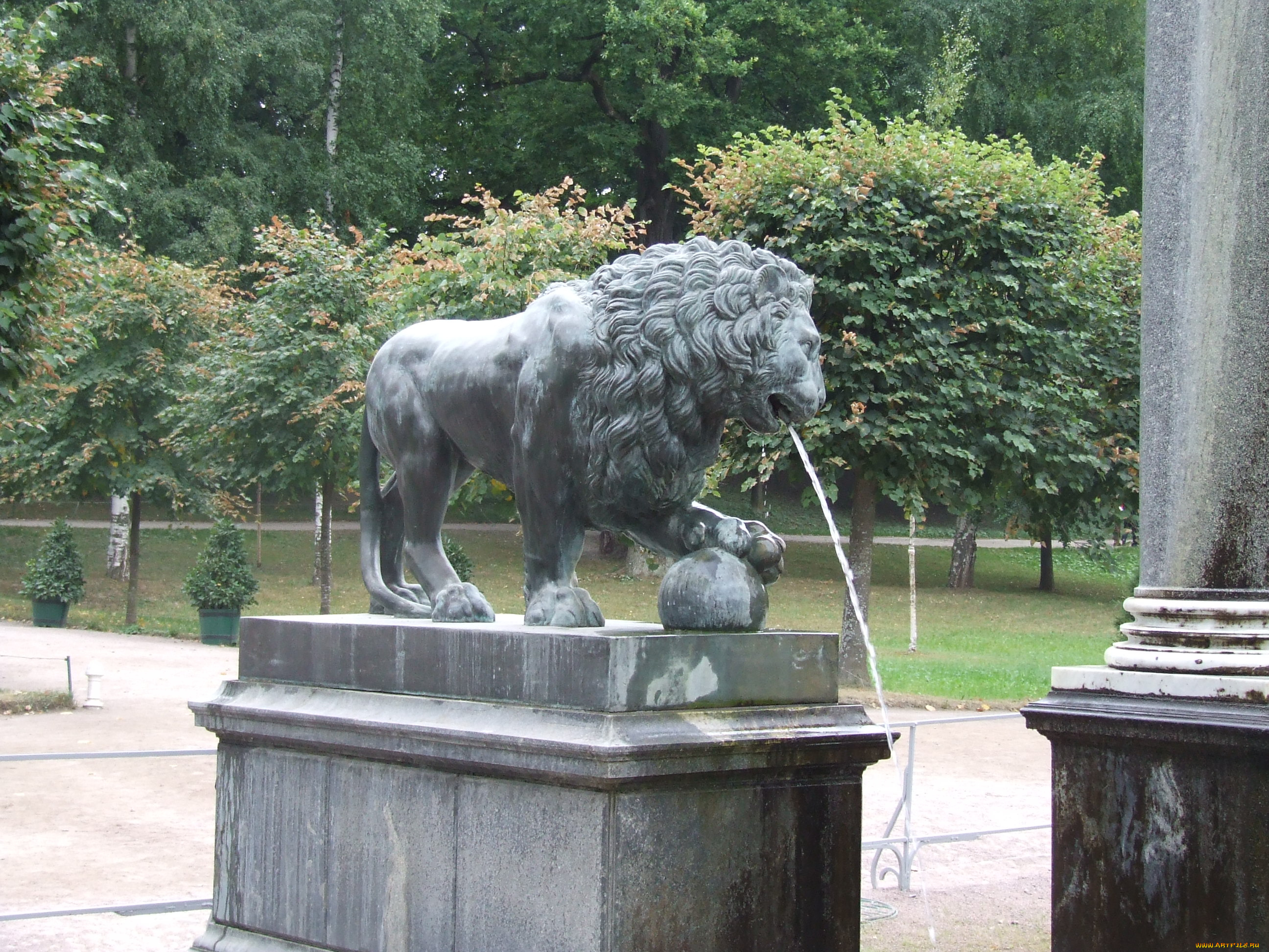 питер, города, санкт, петербург, петергоф, россия