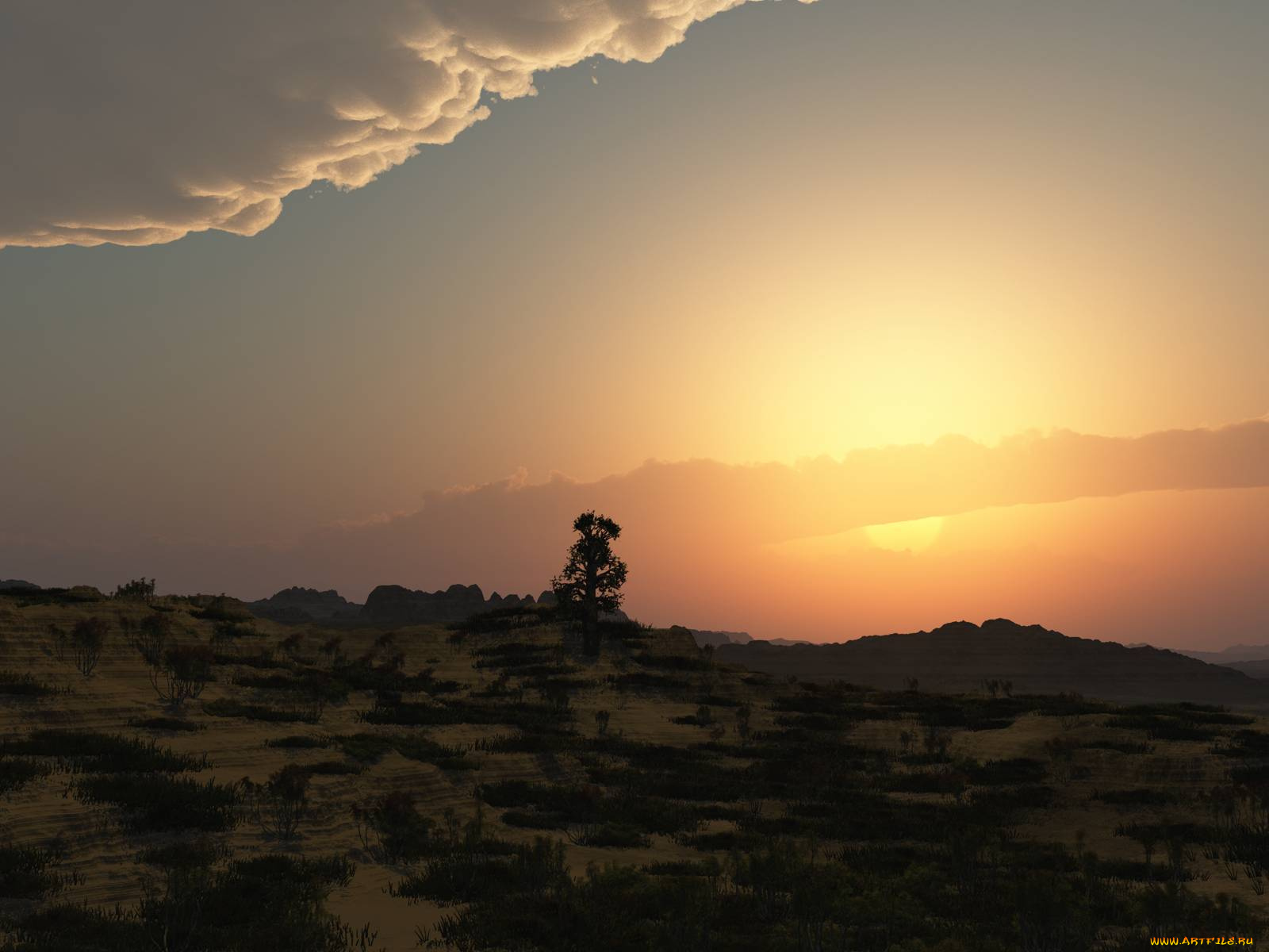3д, графика, nature, landscape, природа, облака, закат, дерево