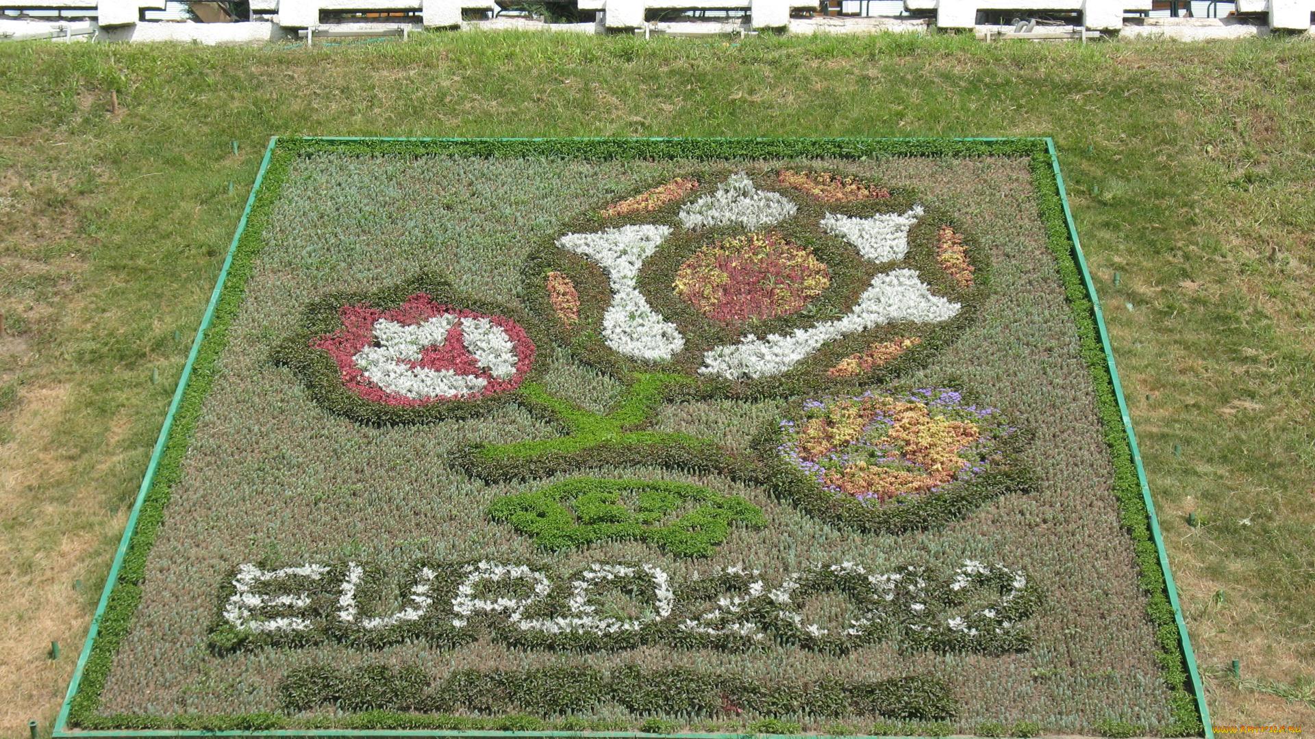 спорт, логотипы, турниров, euro, 2012