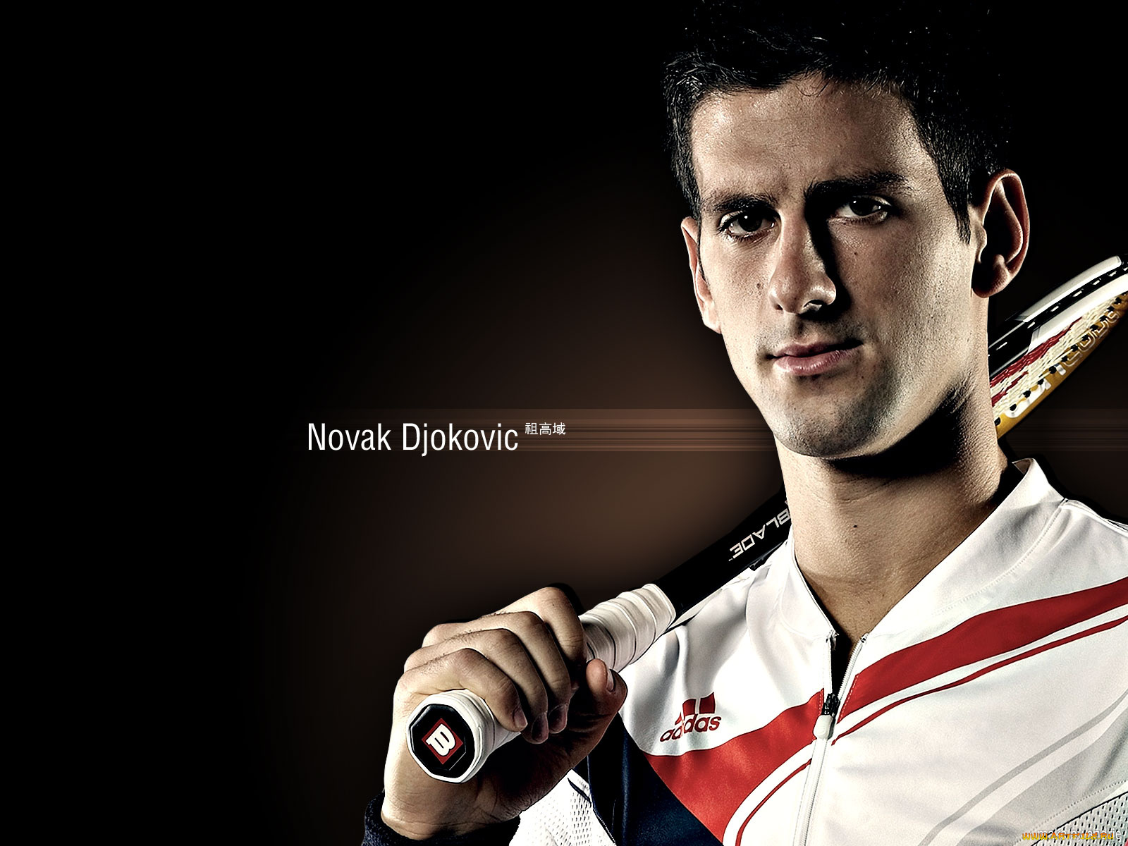 спорт, теннис, novak, djokovic