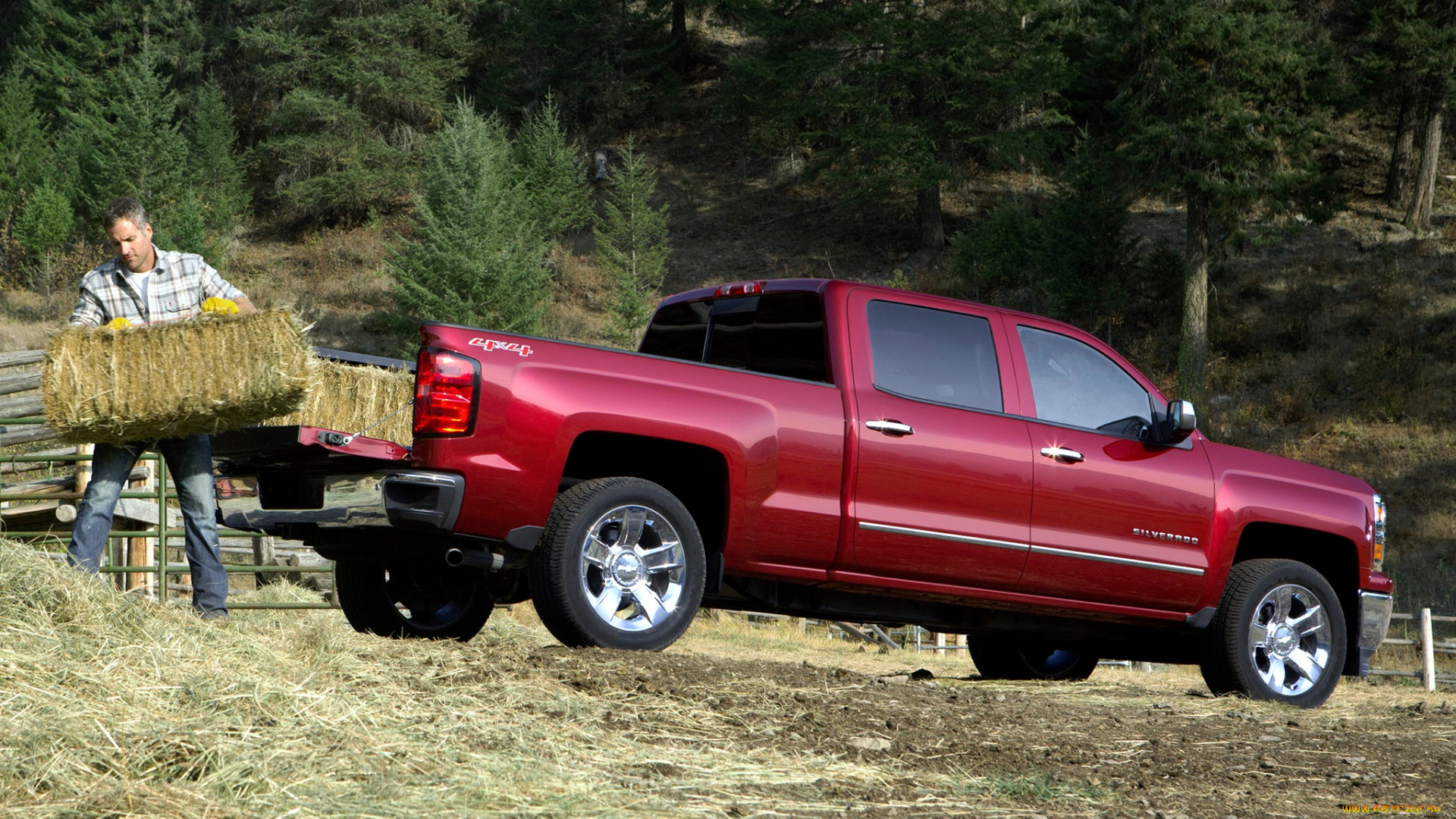 chevrolet, автомобили, silverado