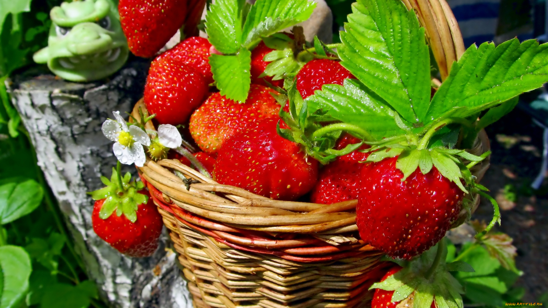 еда, клубника, земляника, корзинка, ягоды