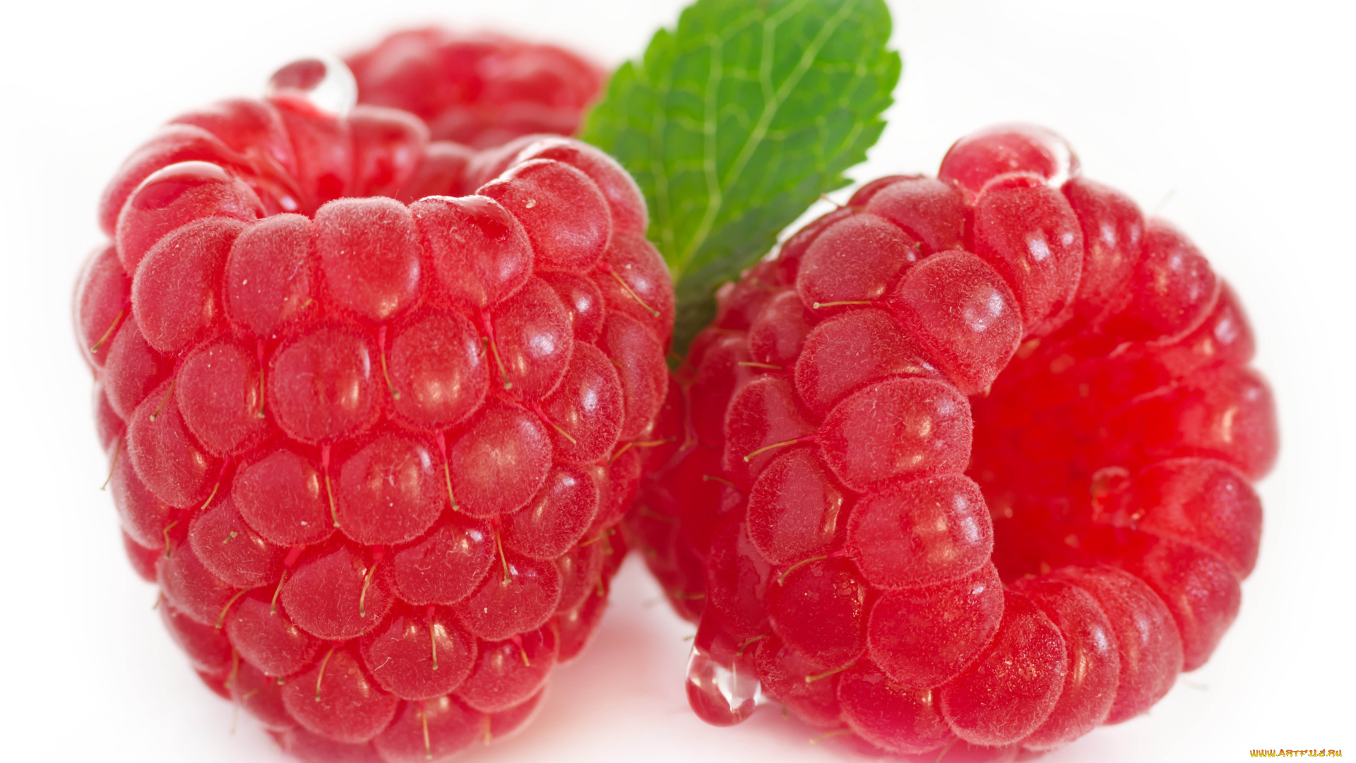 еда, малина, ягоды, витамины