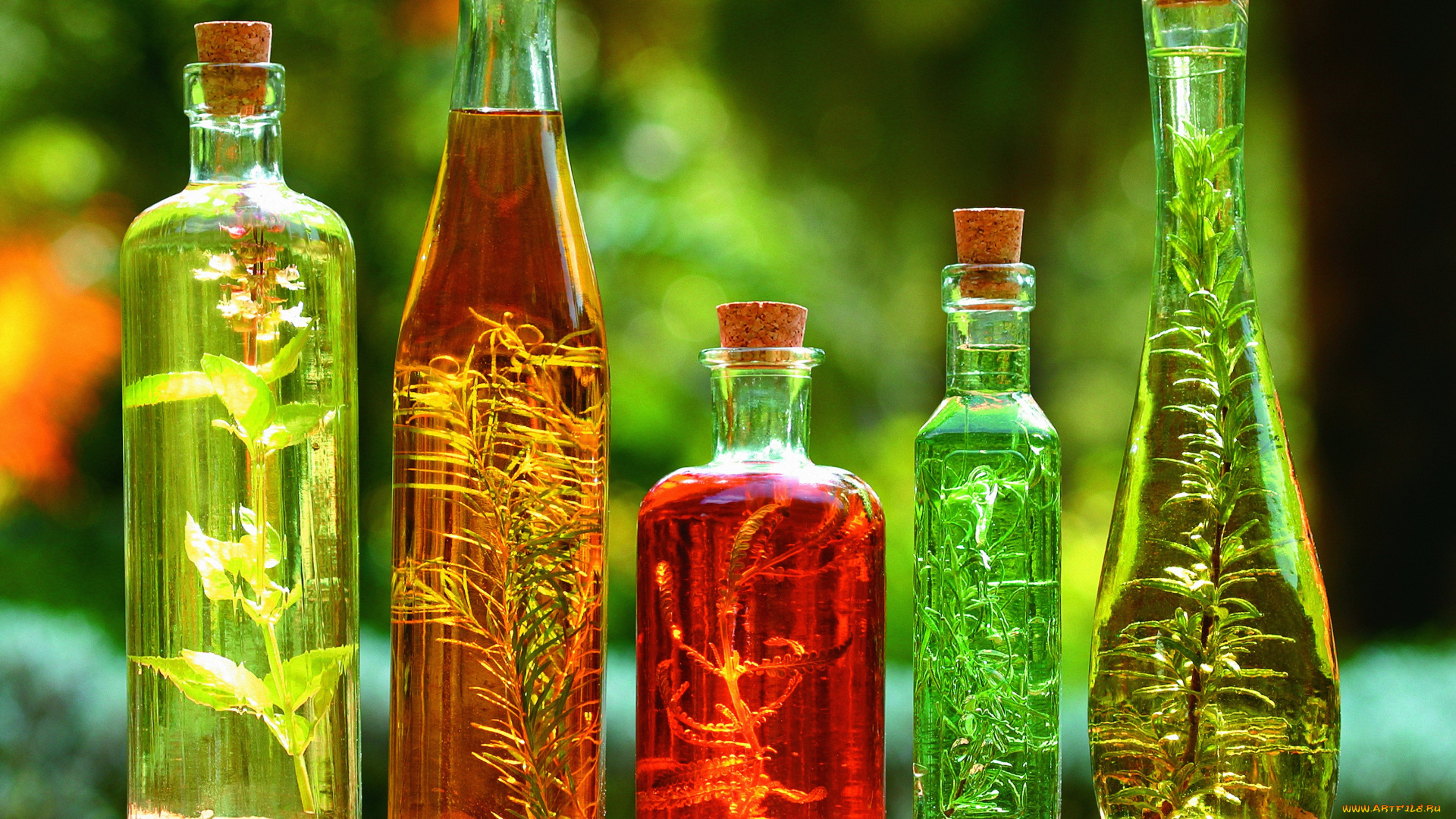 еда, разное, растительное, масло