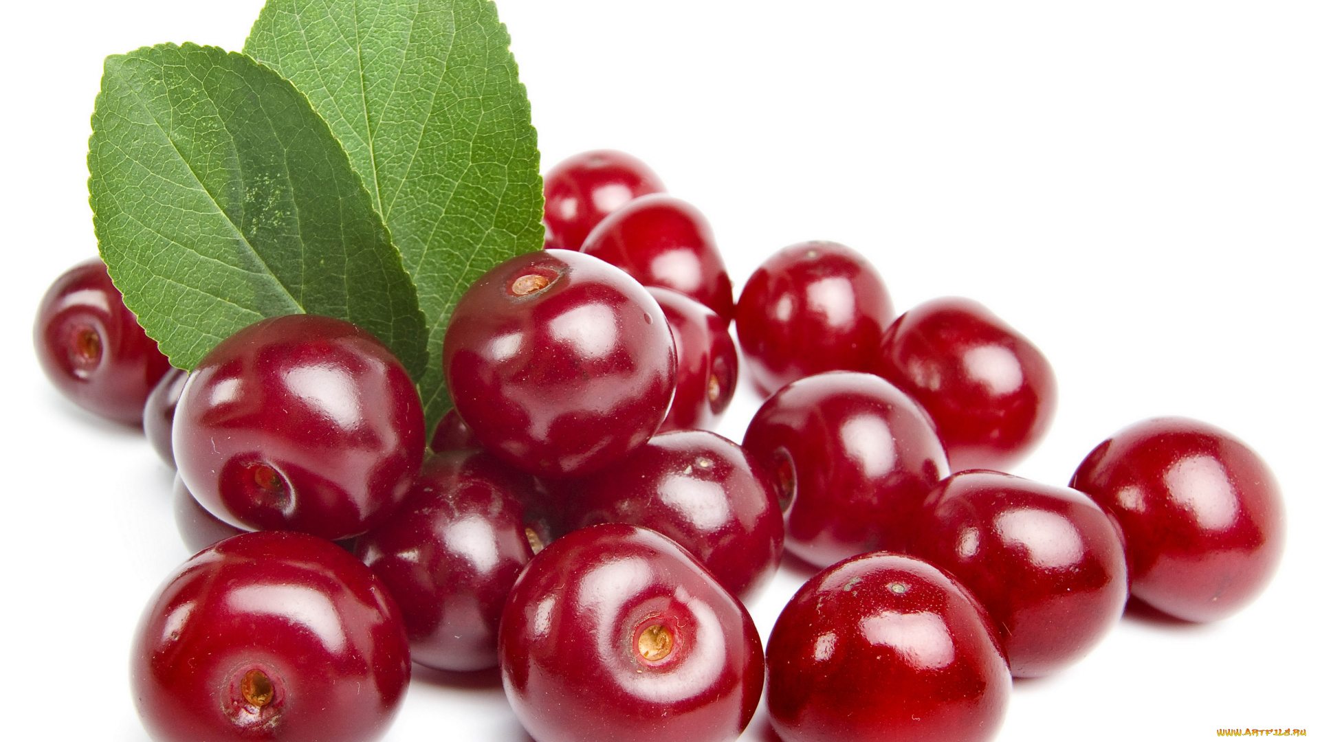 еда, вишня, черешня, косточковые, ягоды
