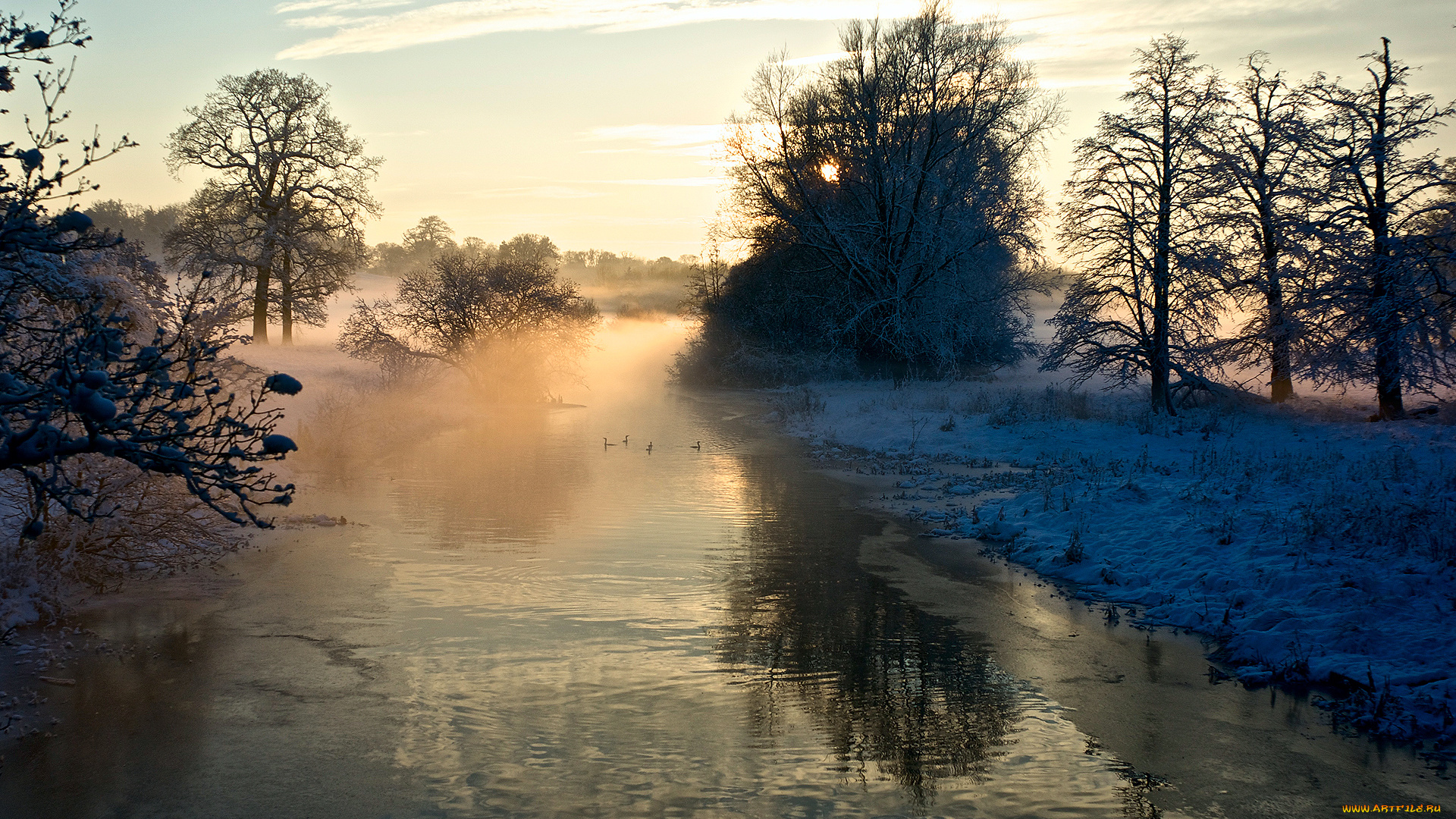 природа, реки, озера, туман, деревья, зима, река