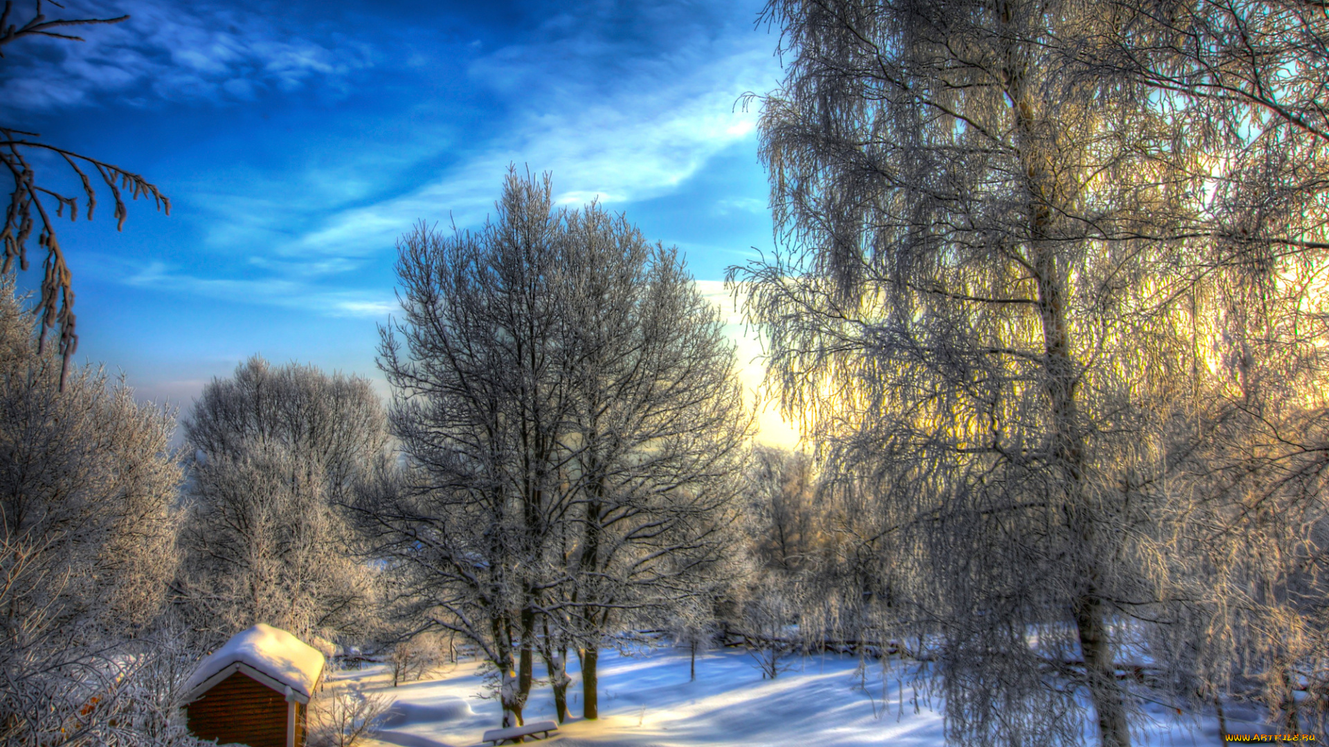 природа, зима, снег, тропинка, березы, сарай