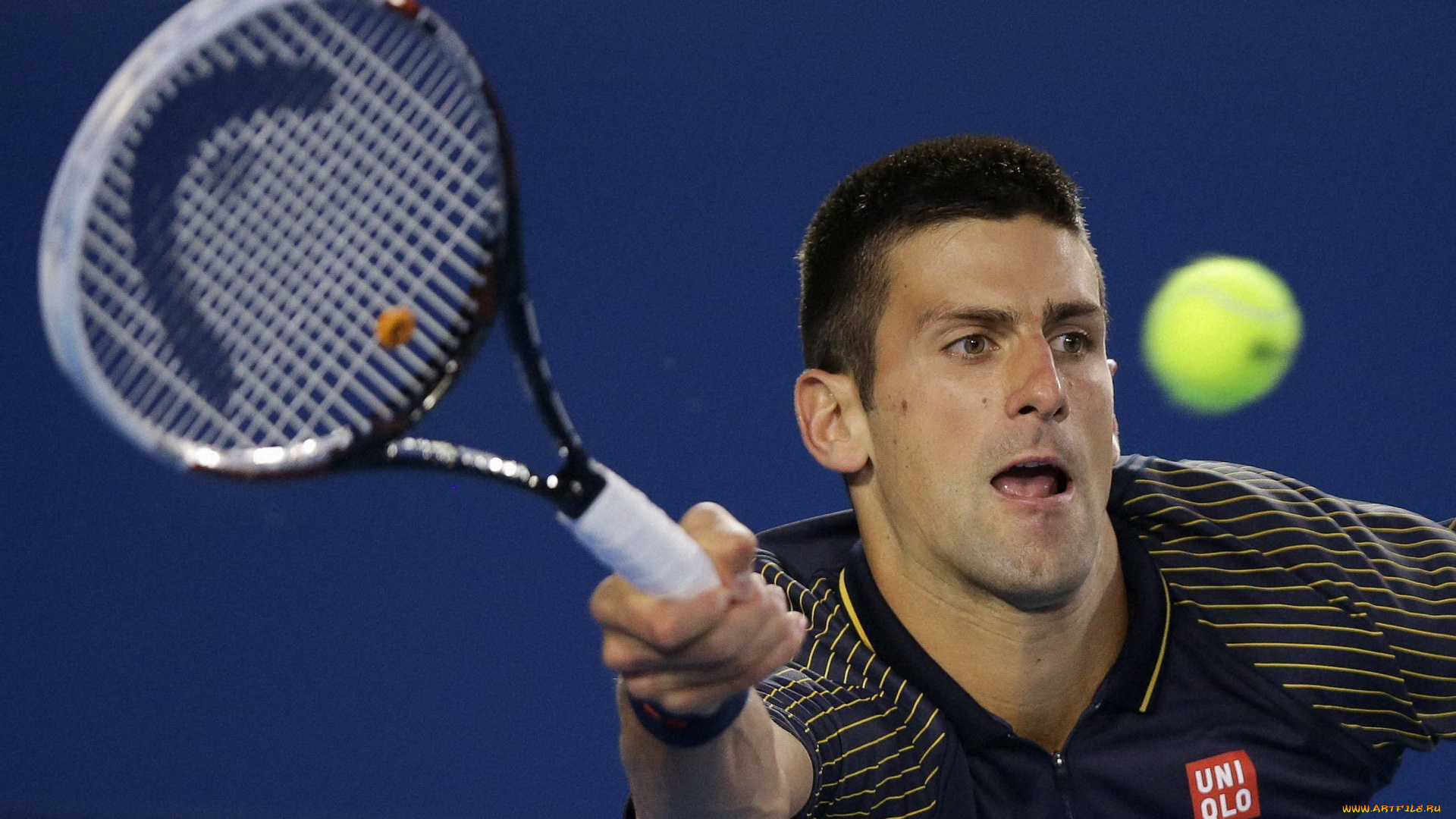 спорт, теннис, novak, djokovic