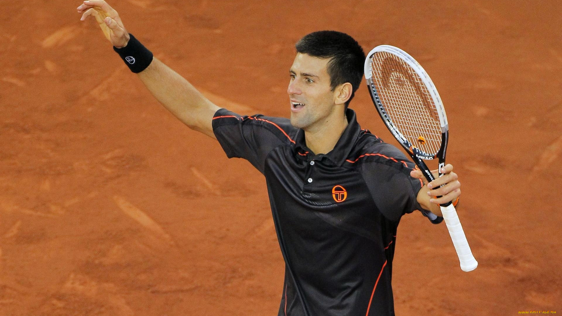 спорт, теннис, novak, djokovic