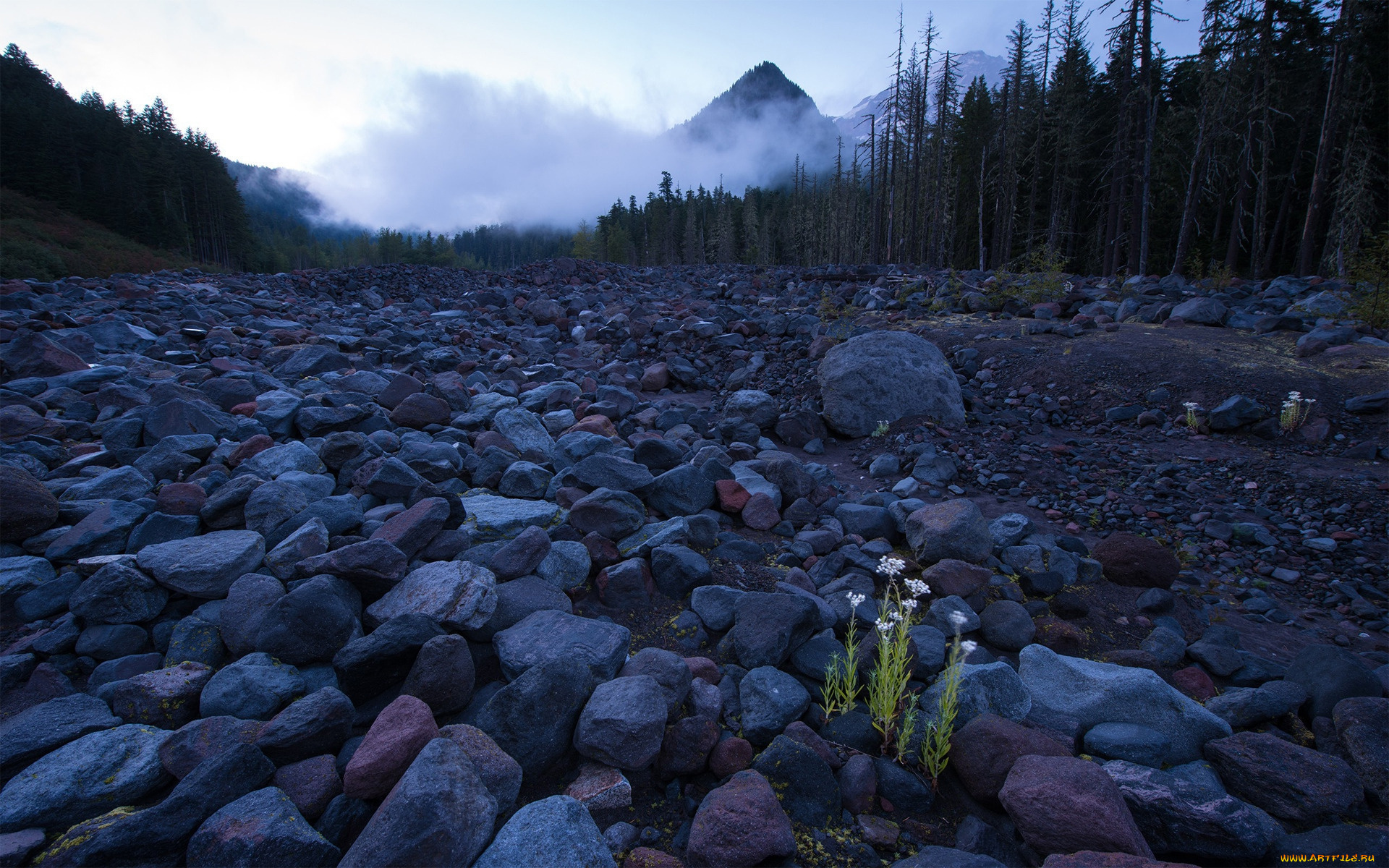 природа, камни, минералы, горы, лес, распадок