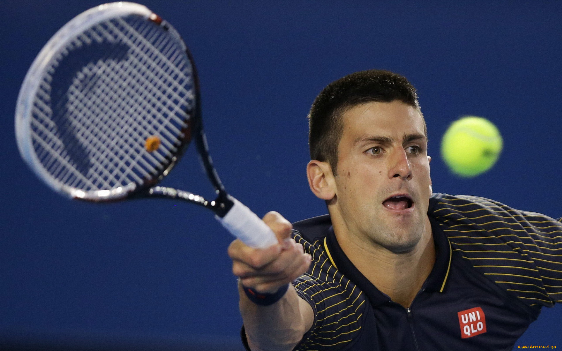 спорт, теннис, novak, djokovic