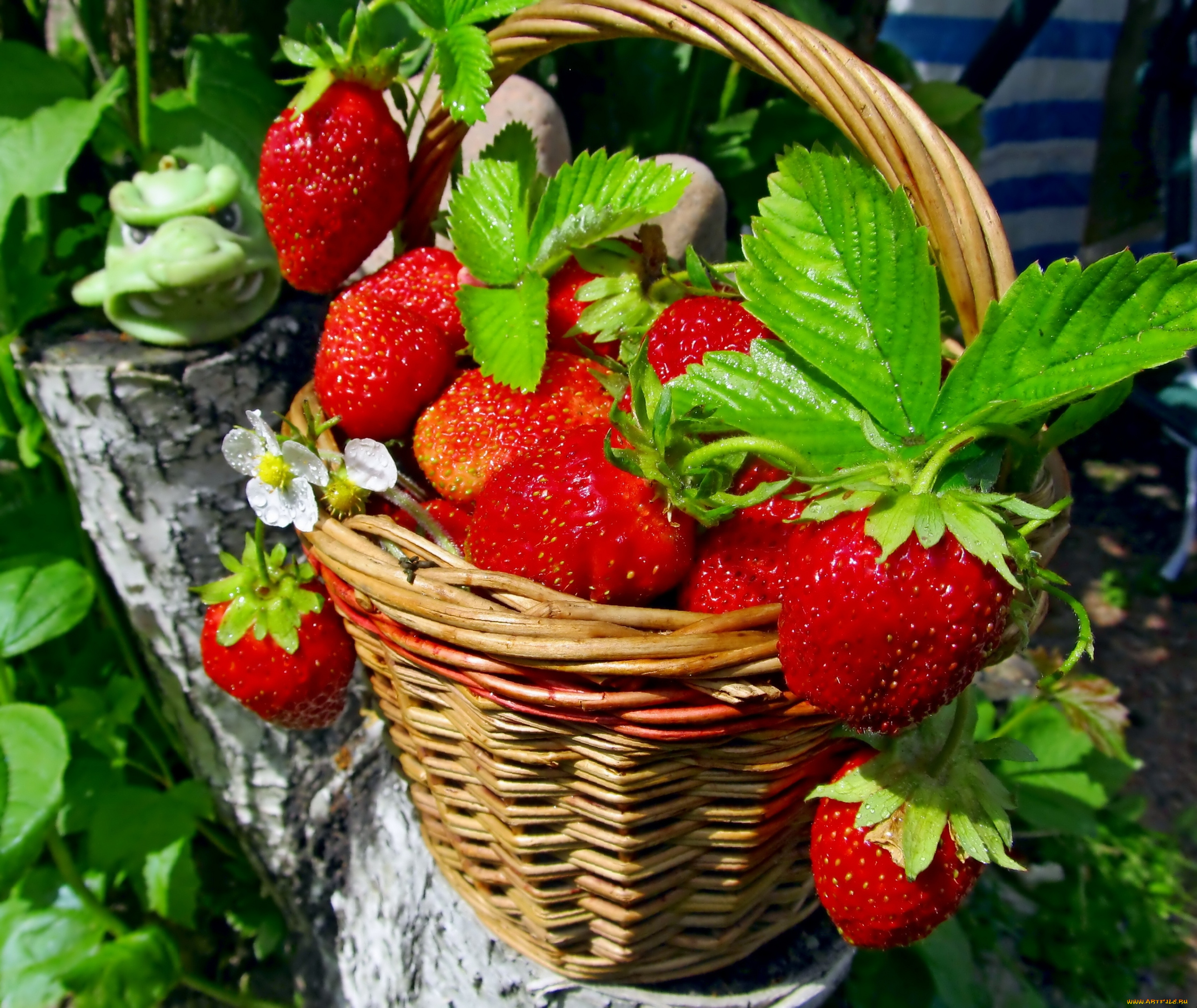 еда, клубника, земляника, корзинка, ягоды