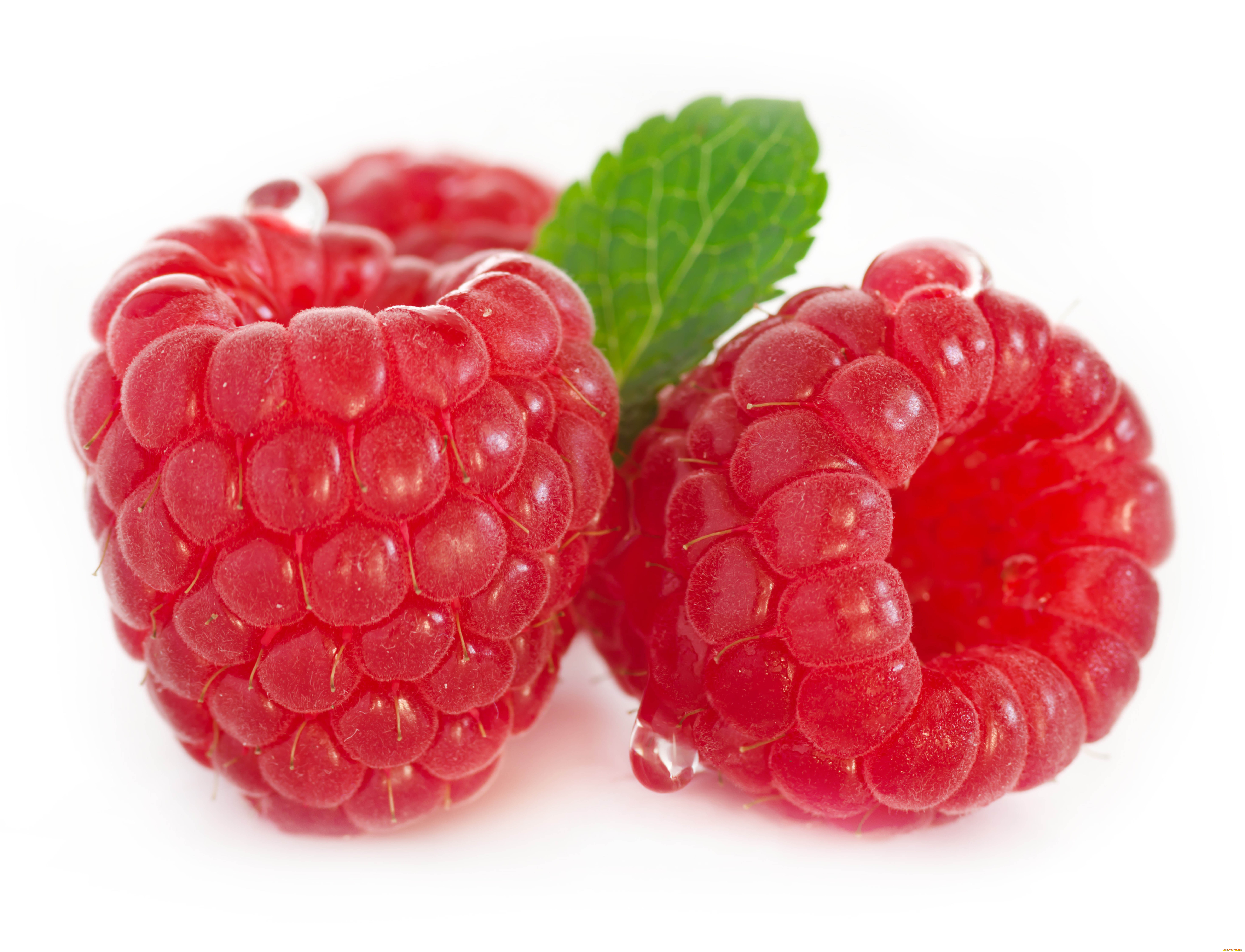 еда, малина, ягоды, витамины