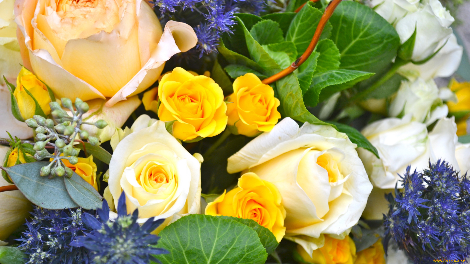 цветы, букеты, , композиции, букет, розы