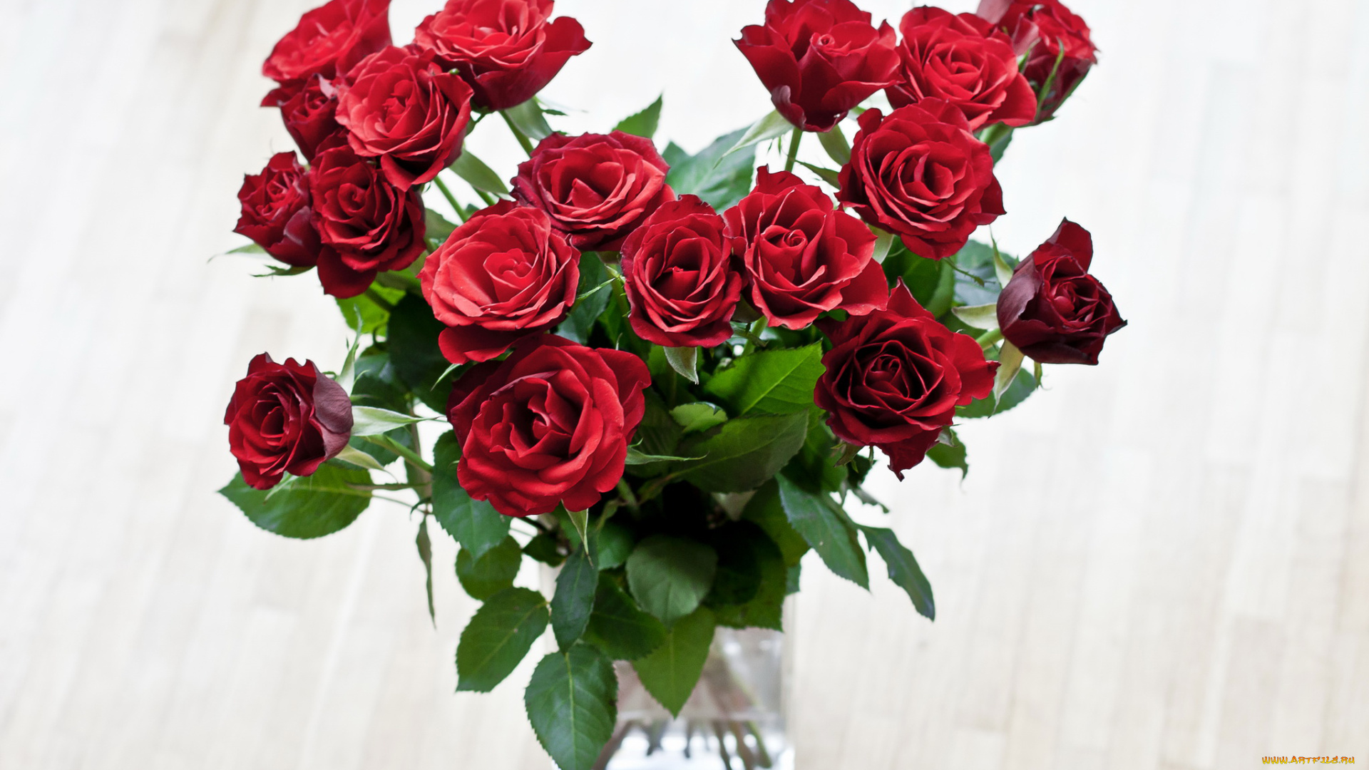 цветы, розы, ваза, красные