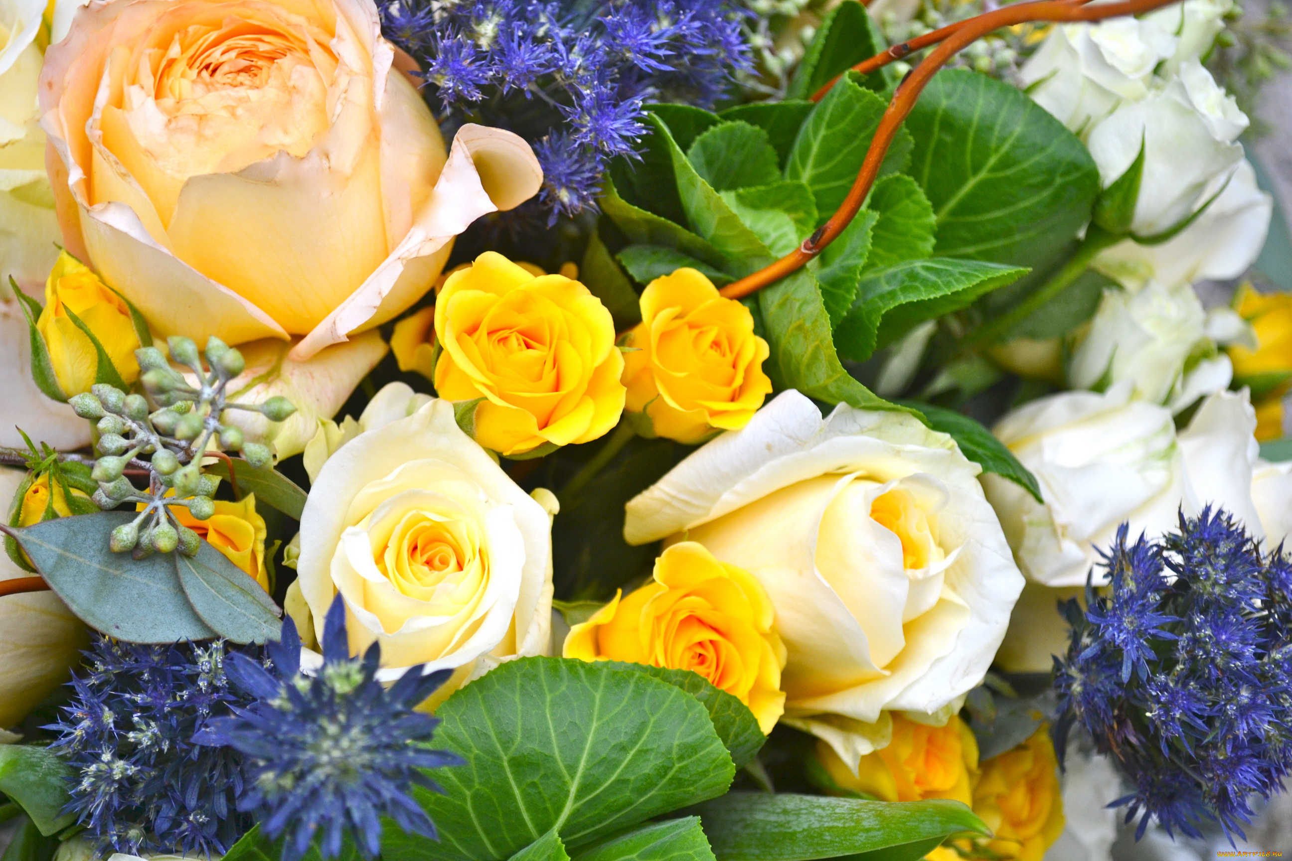 цветы, букеты, , композиции, букет, розы