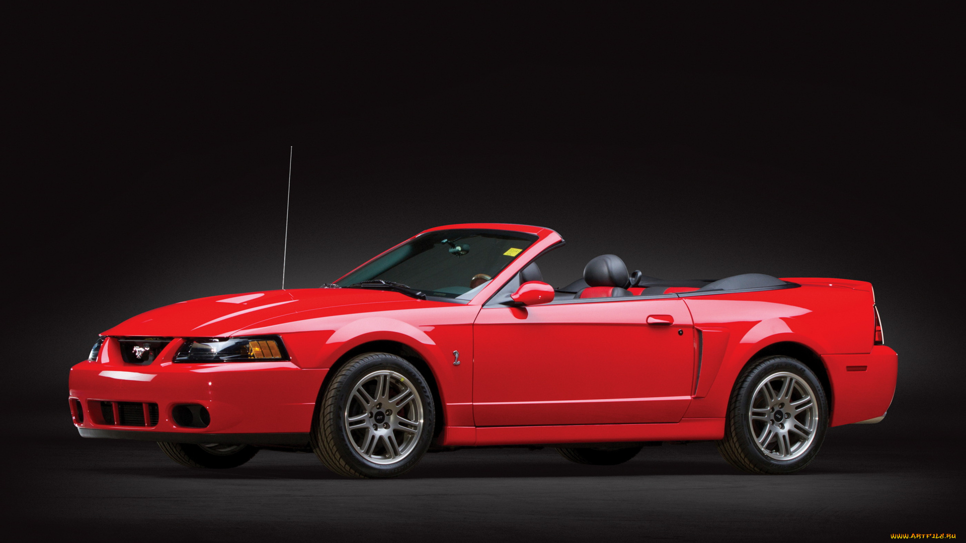 автомобили, mustang