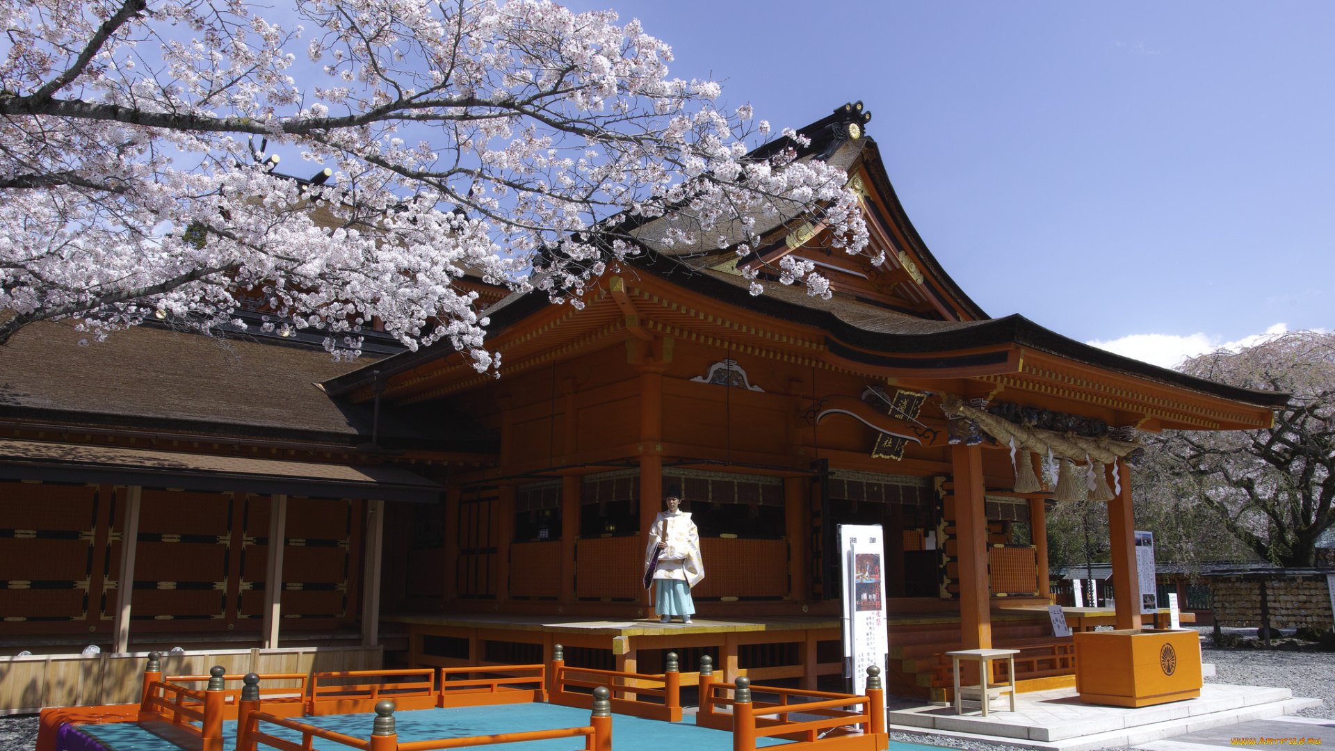 города, -, буддийские, и, другие, храмы, takaten, деревья, дом, весна