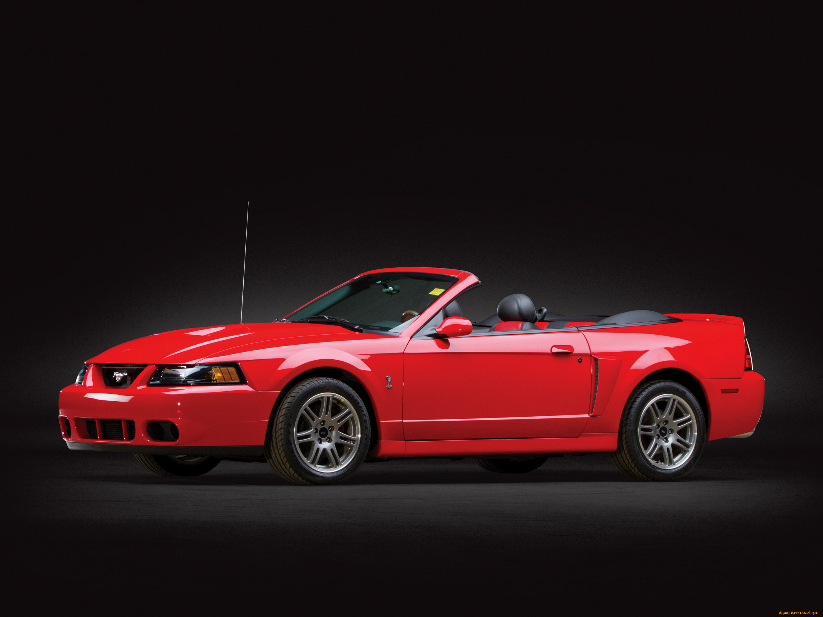 автомобили, mustang