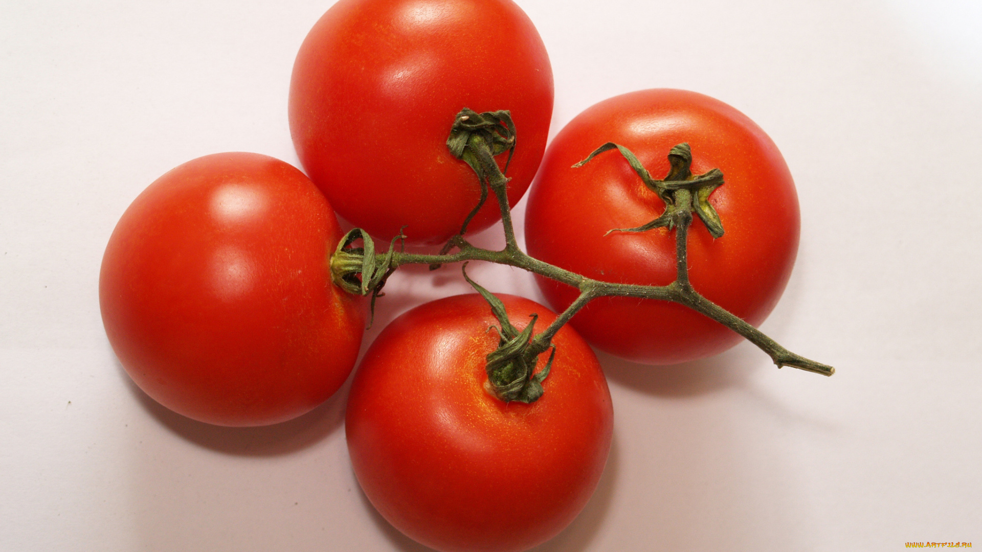 еда, помидоры, плоды