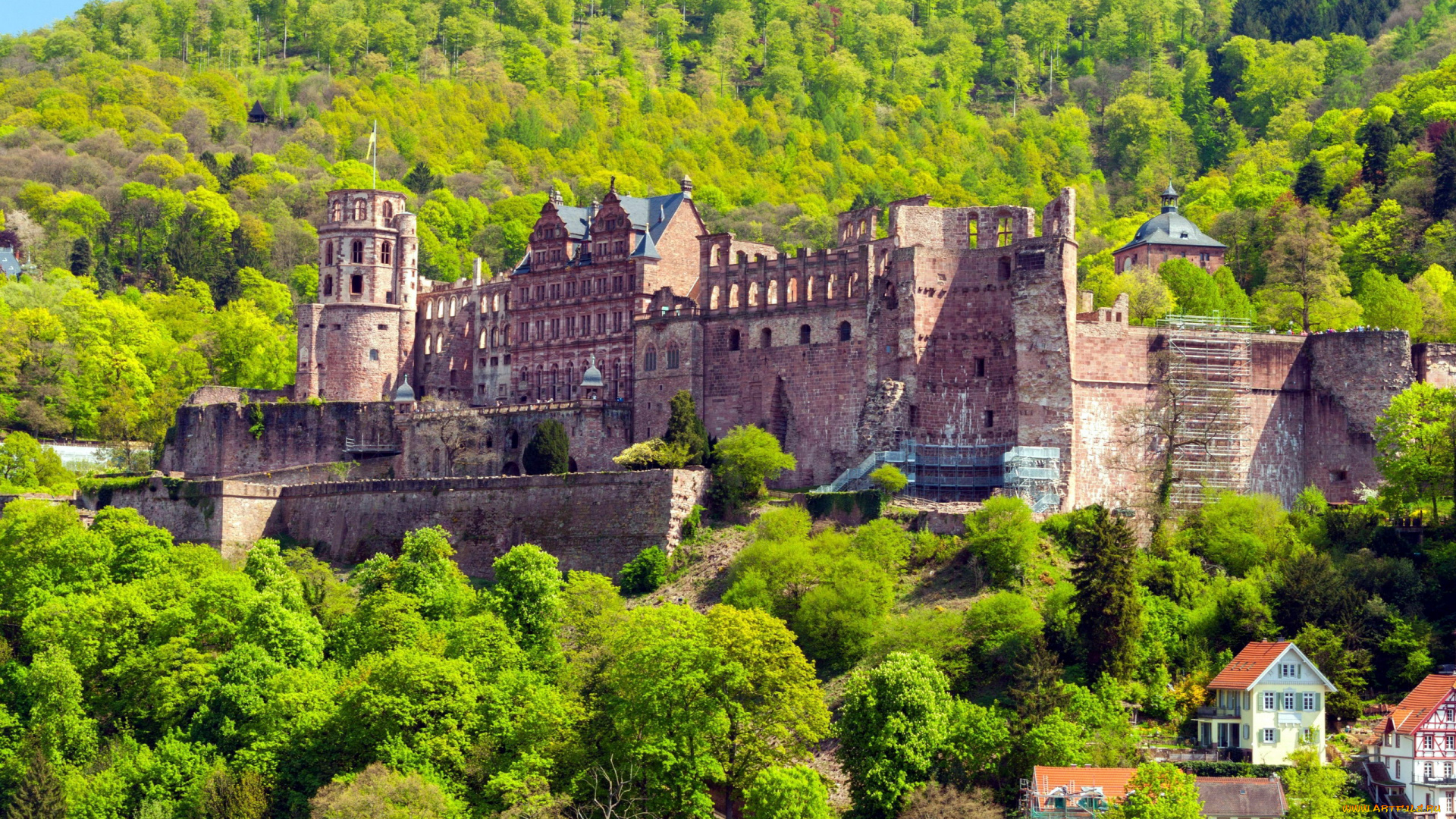 heidelberg, castle, города, замки, германии, heidelberg, castle