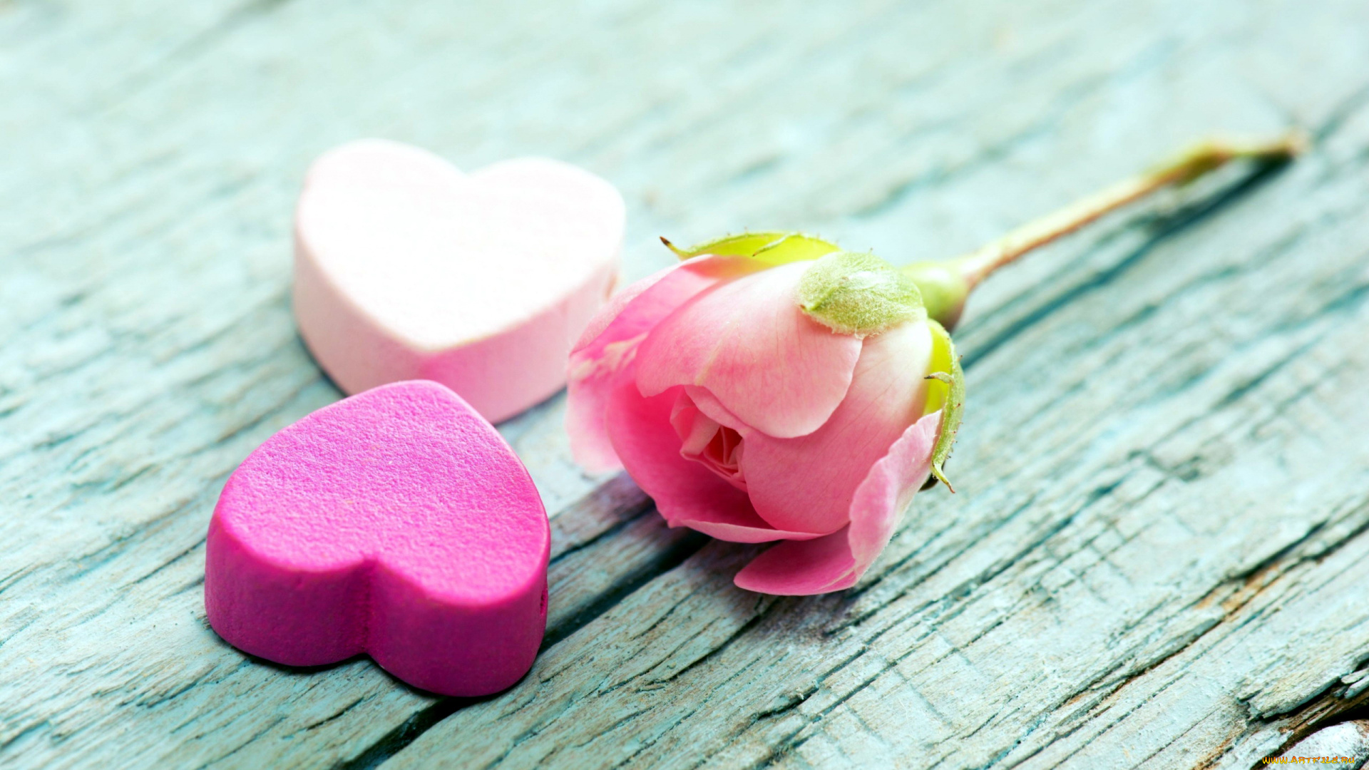 праздничные, день, святого, валентина, , сердечки, , любовь, сердечки, бутон, роза