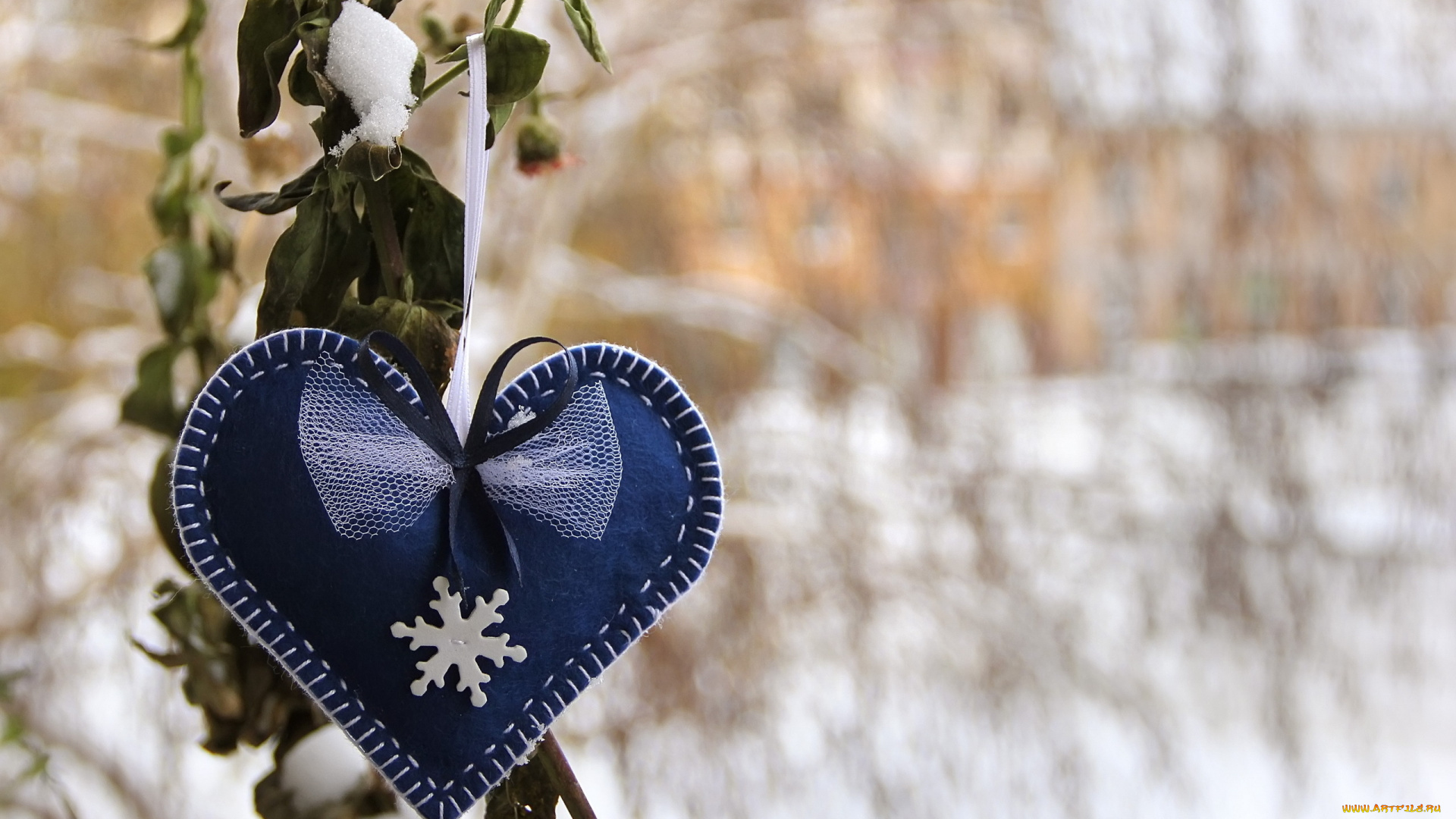 праздничные, день, святого, валентина, , сердечки, , любовь, сердечко