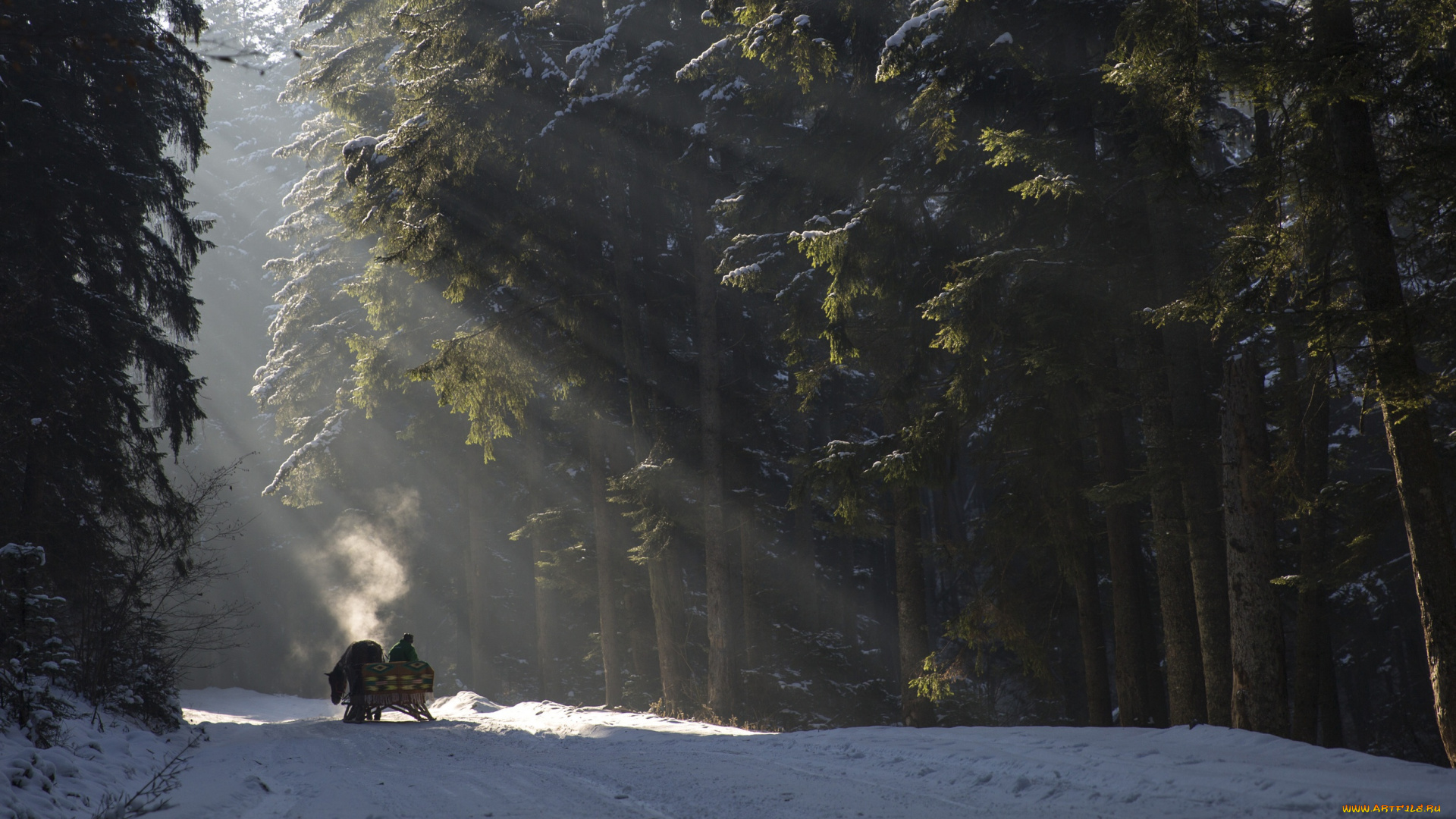 природа, дороги, деревья, снег