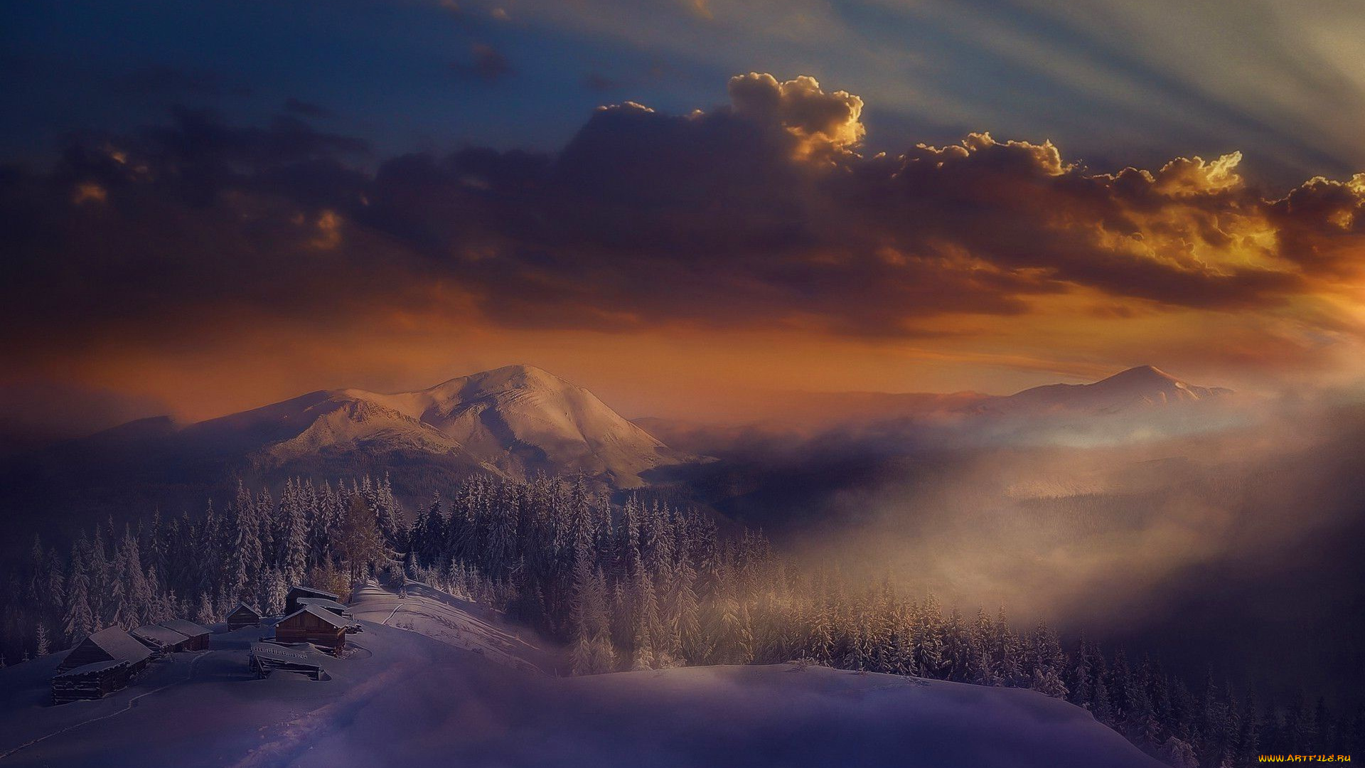 природа, пейзажи, деревья, снег