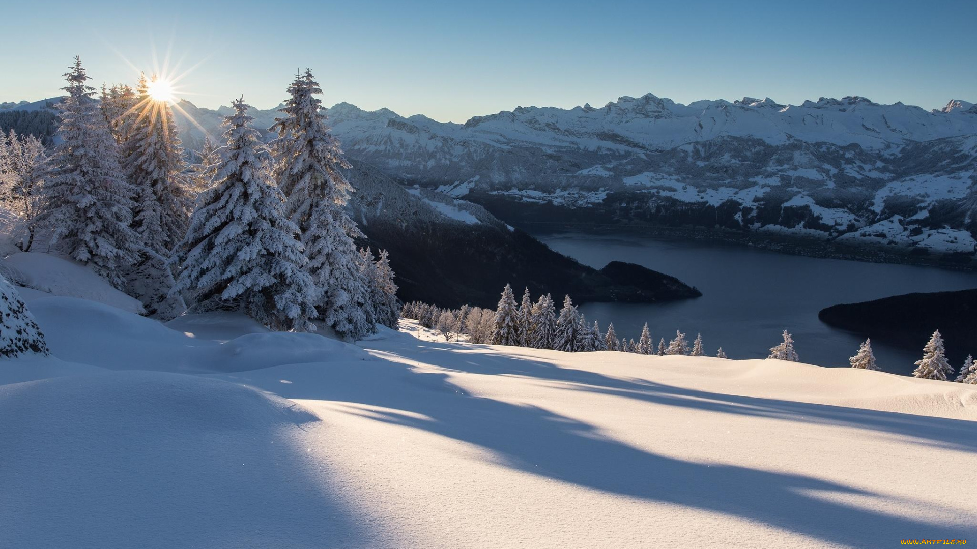 природа, пейзажи, сугробы, деревья, снег, зима