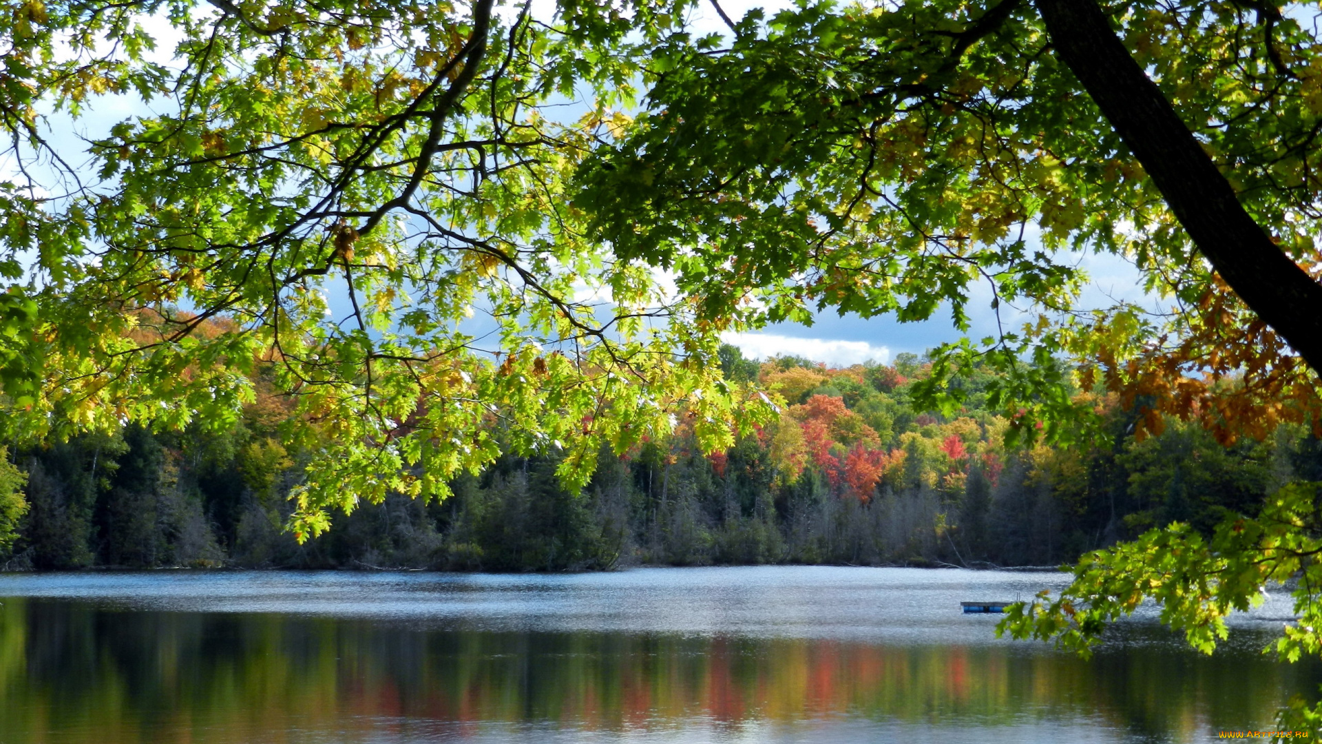 природа, реки, озера, деревья, река, осень