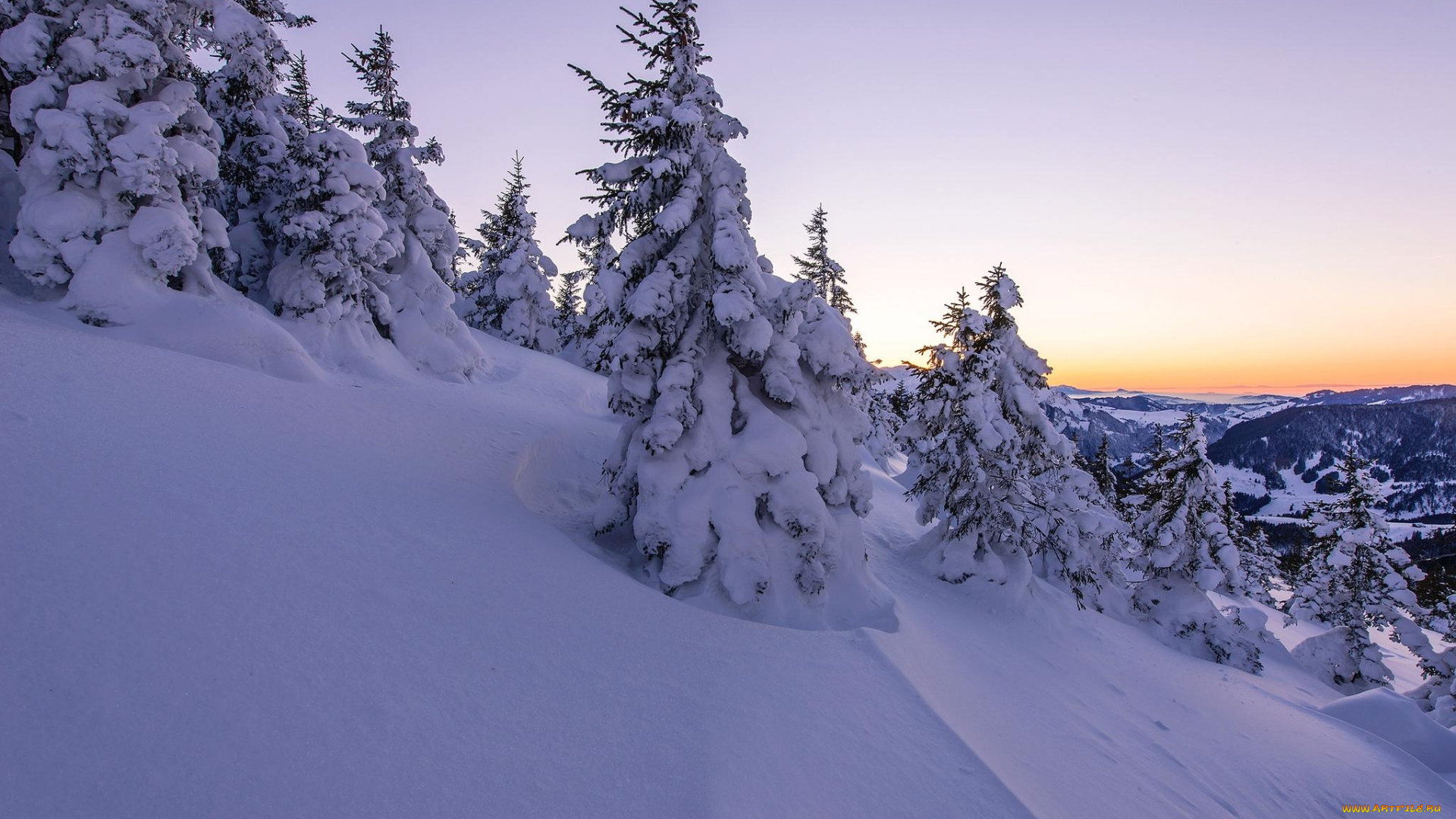 природа, зима, деревья, снег, сугробы