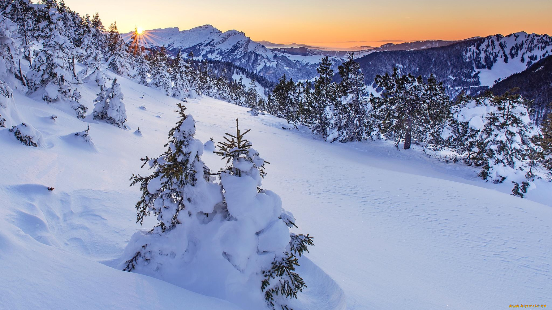 природа, зима, сугробы, деревья, снег