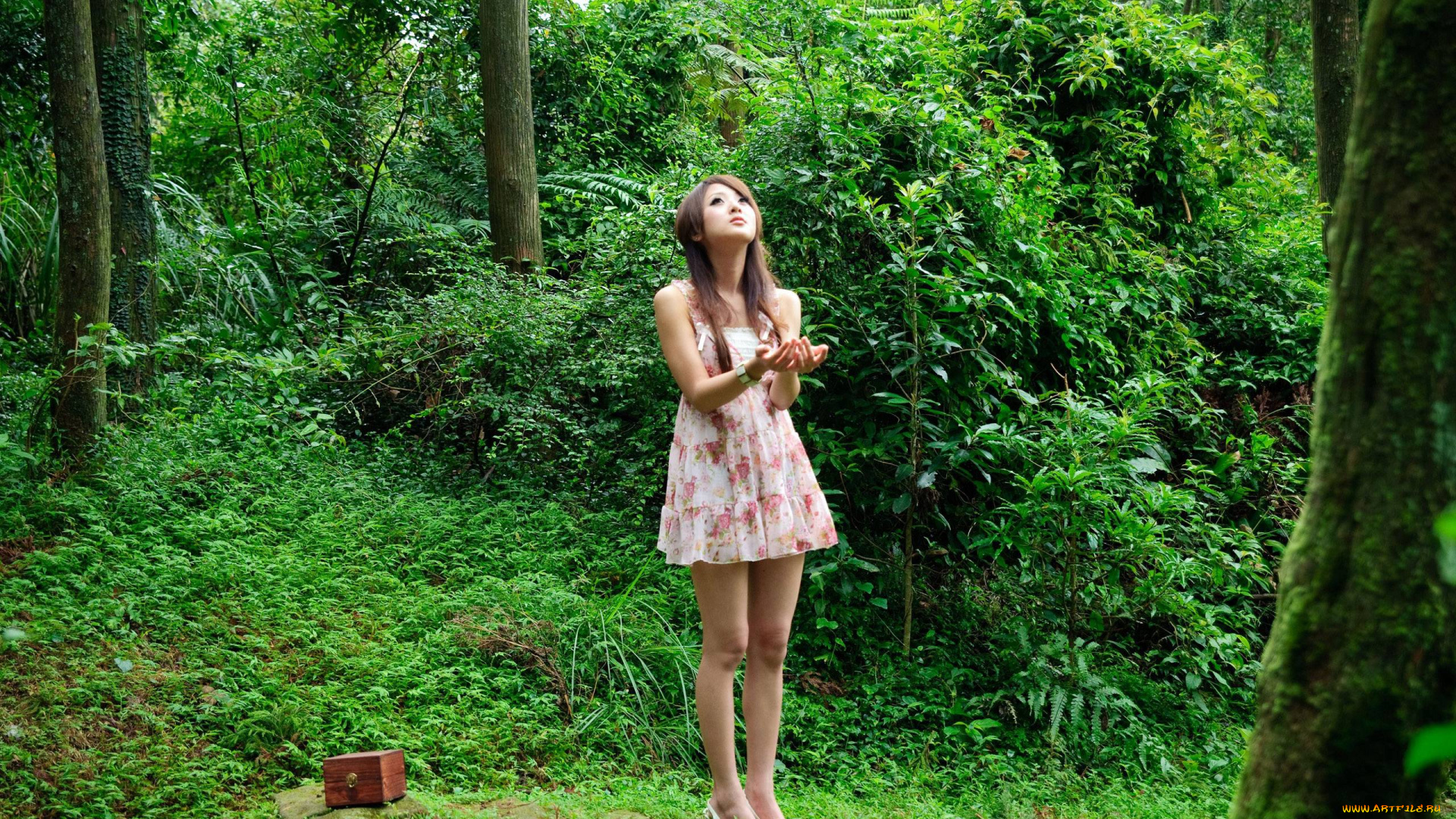 в, лесу, девушки, -unsort, , азиатки, лес, японка, девушка