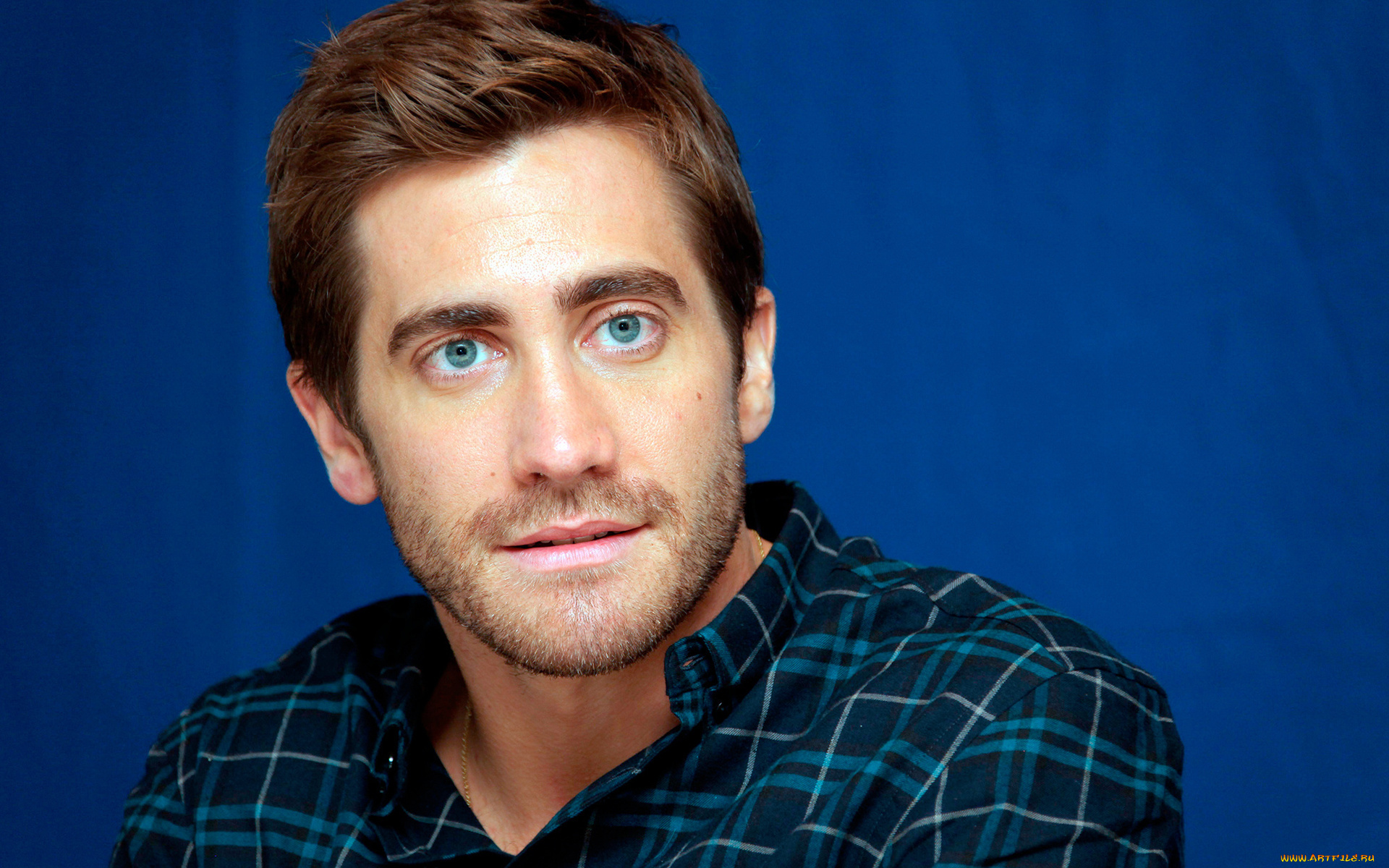 мужчины, jake, gyllenhaal, бородка