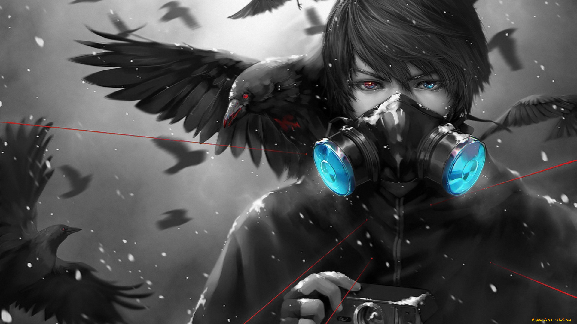 аниме, животные, , существа, взгляд