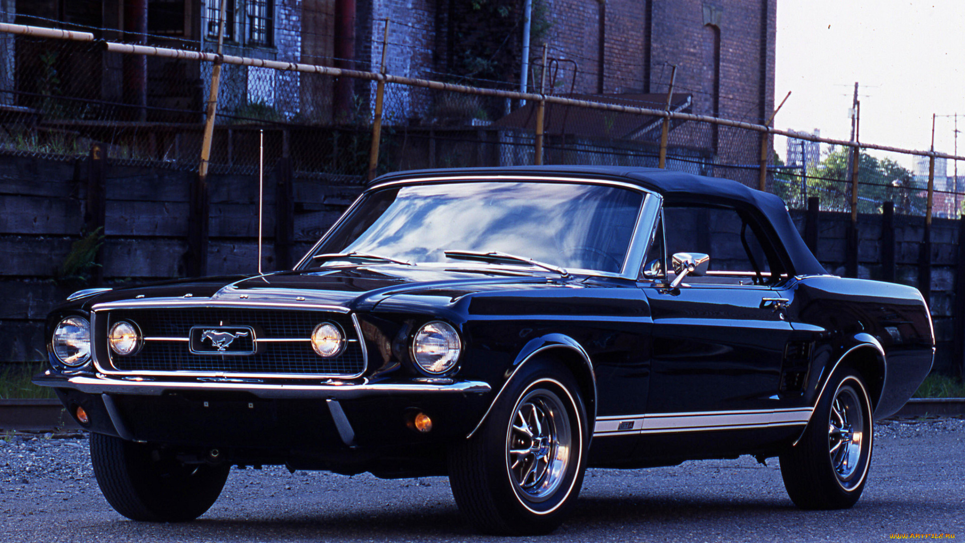 автомобили, mustang