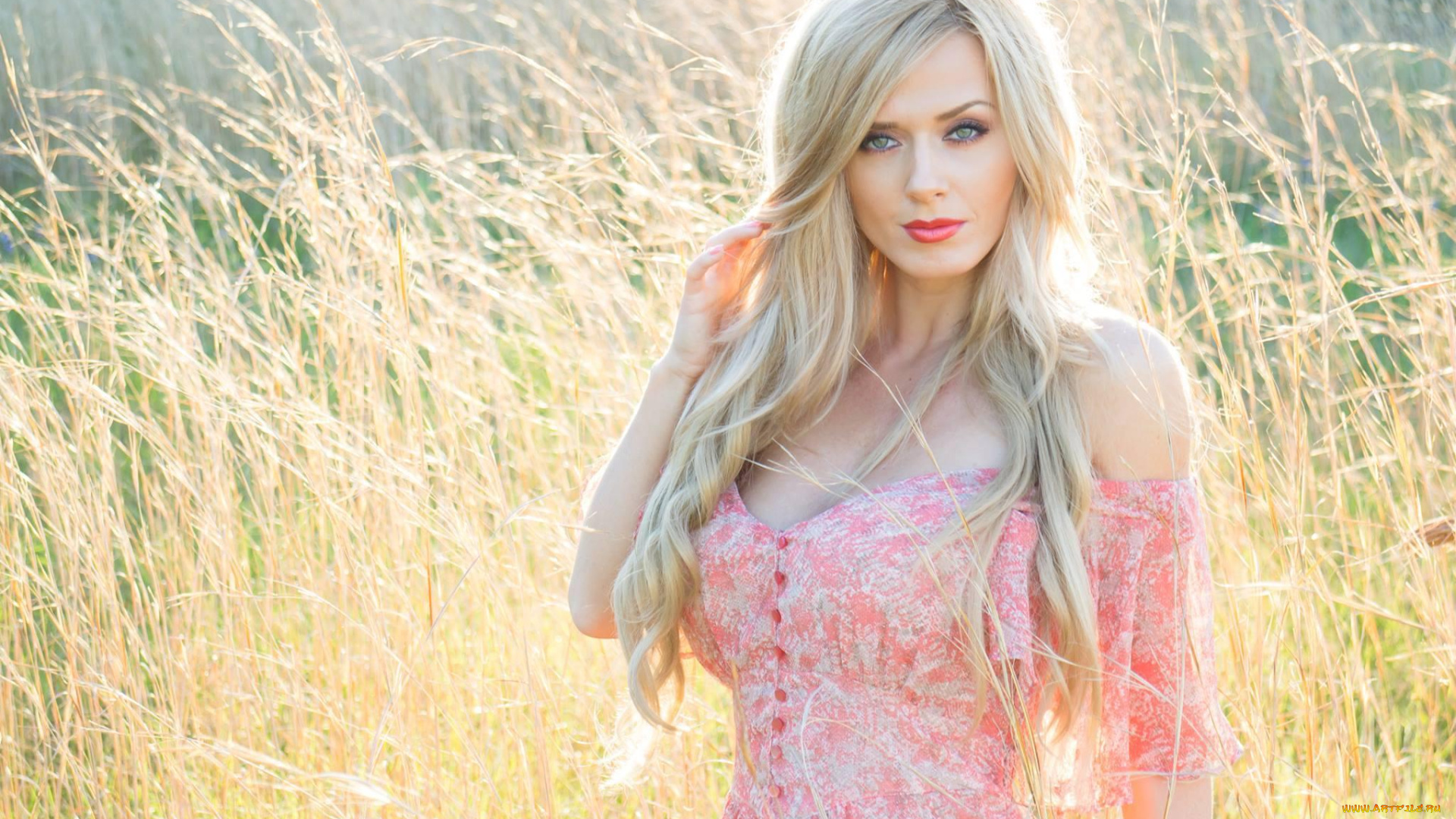 девушки, -unsort, , блондинки, , светловолосые, плечи, платье, трава, блондинка, поле