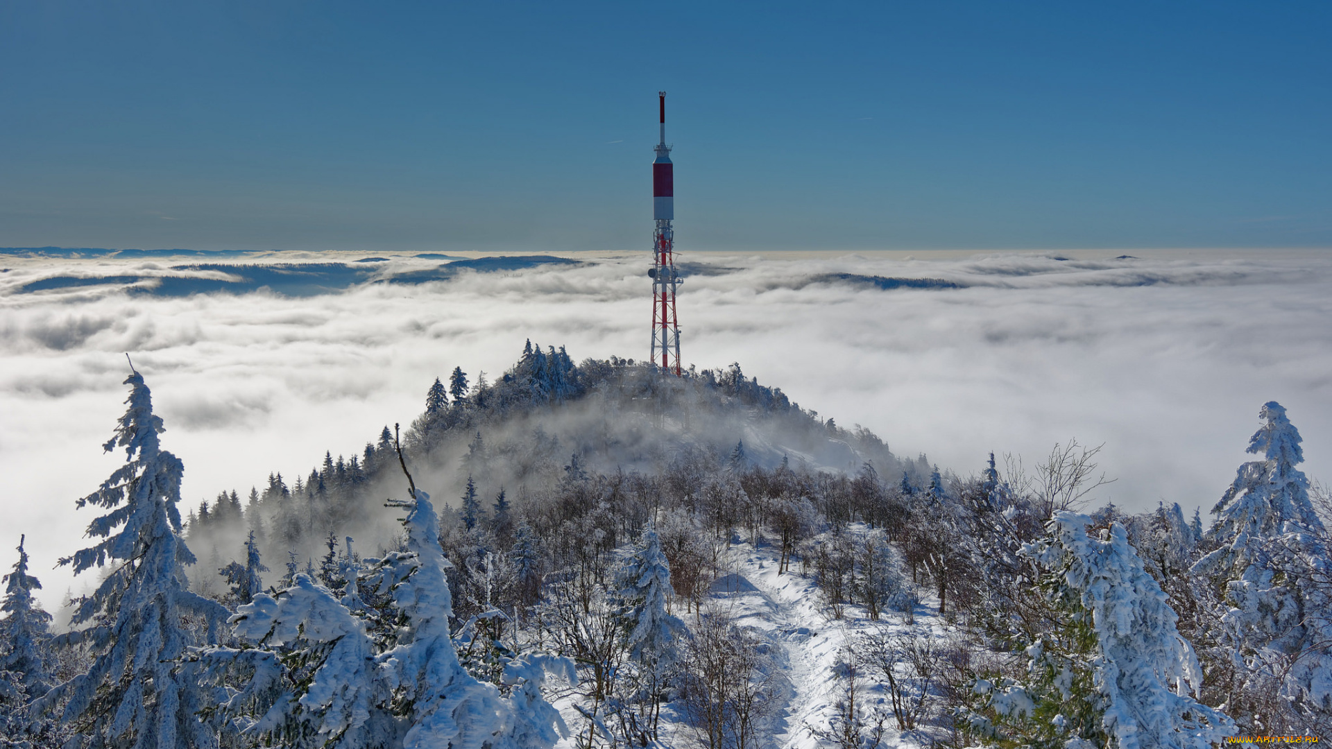 природа, пейзажи, простор